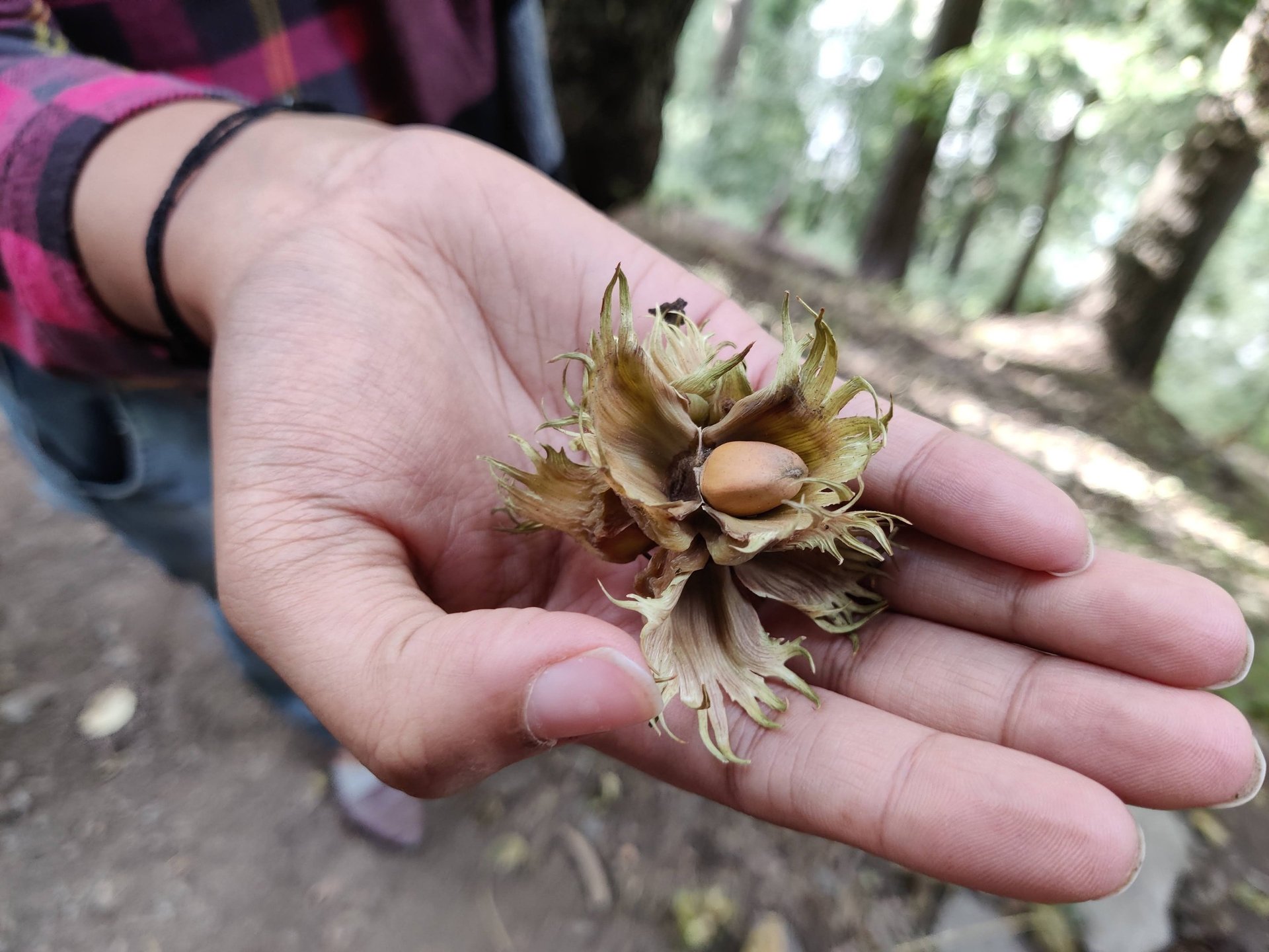a person in a body of water