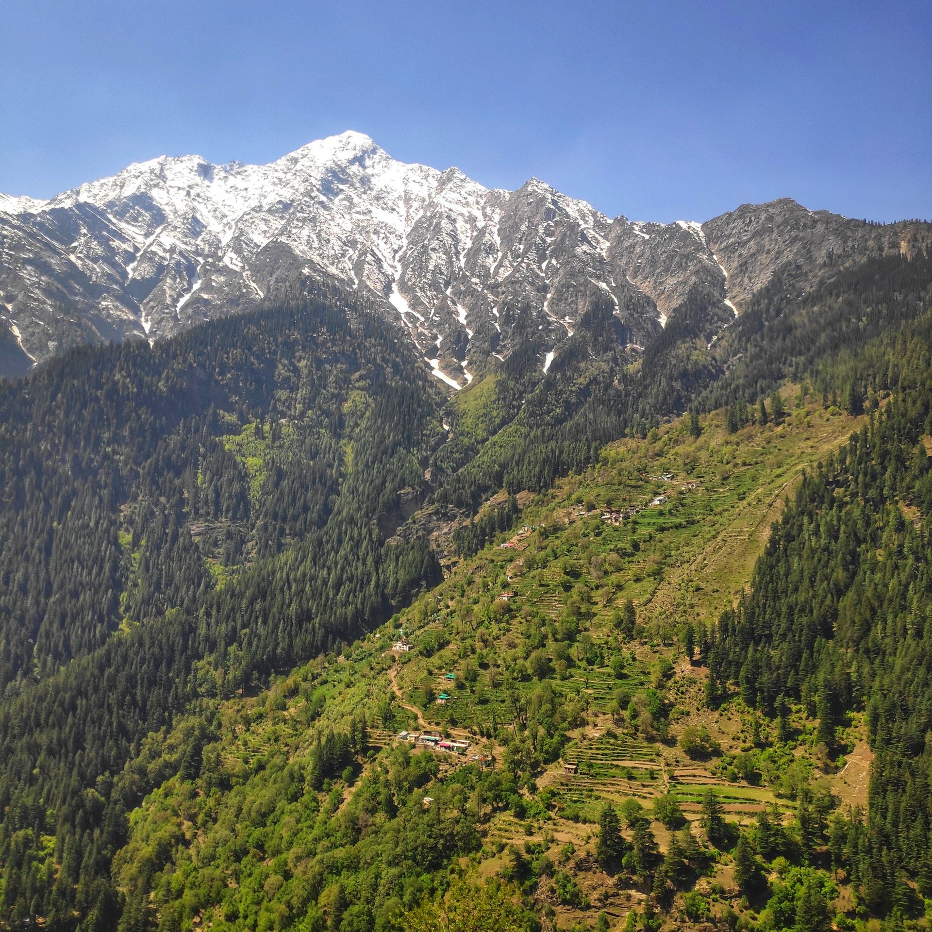 a person in a body of water