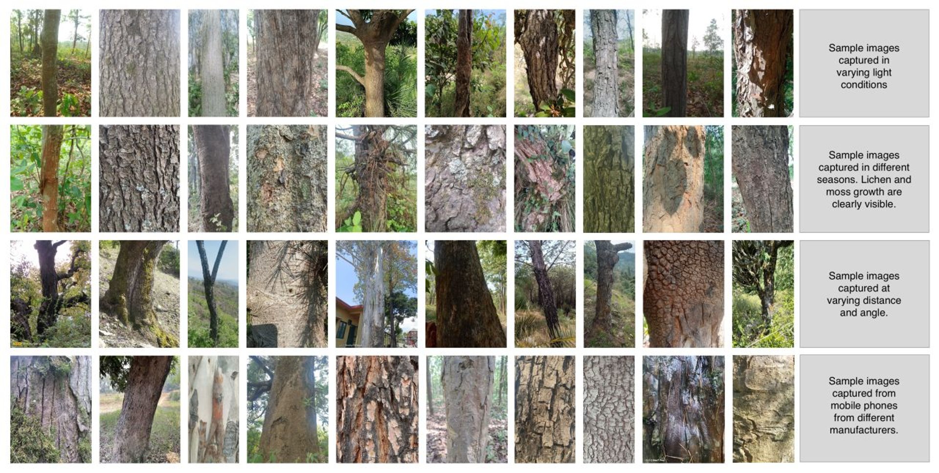 a person in a body of water