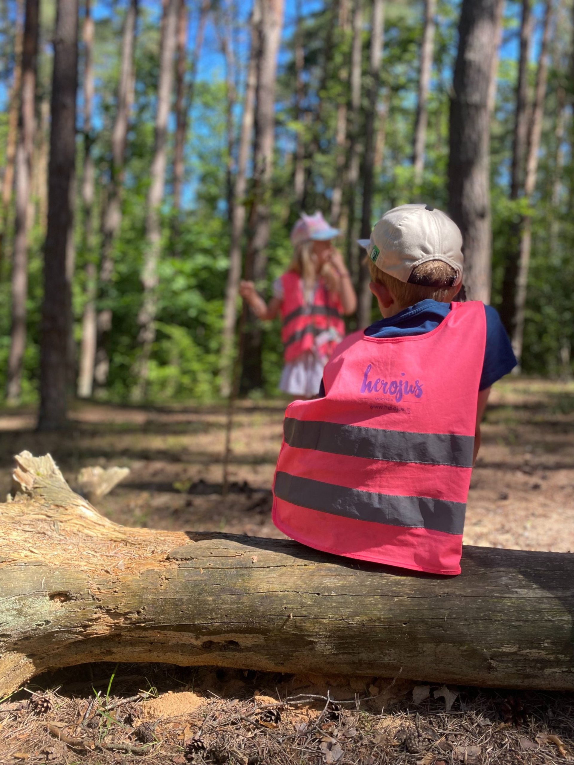 an abstract photo of a curved building with a blue sky in the background