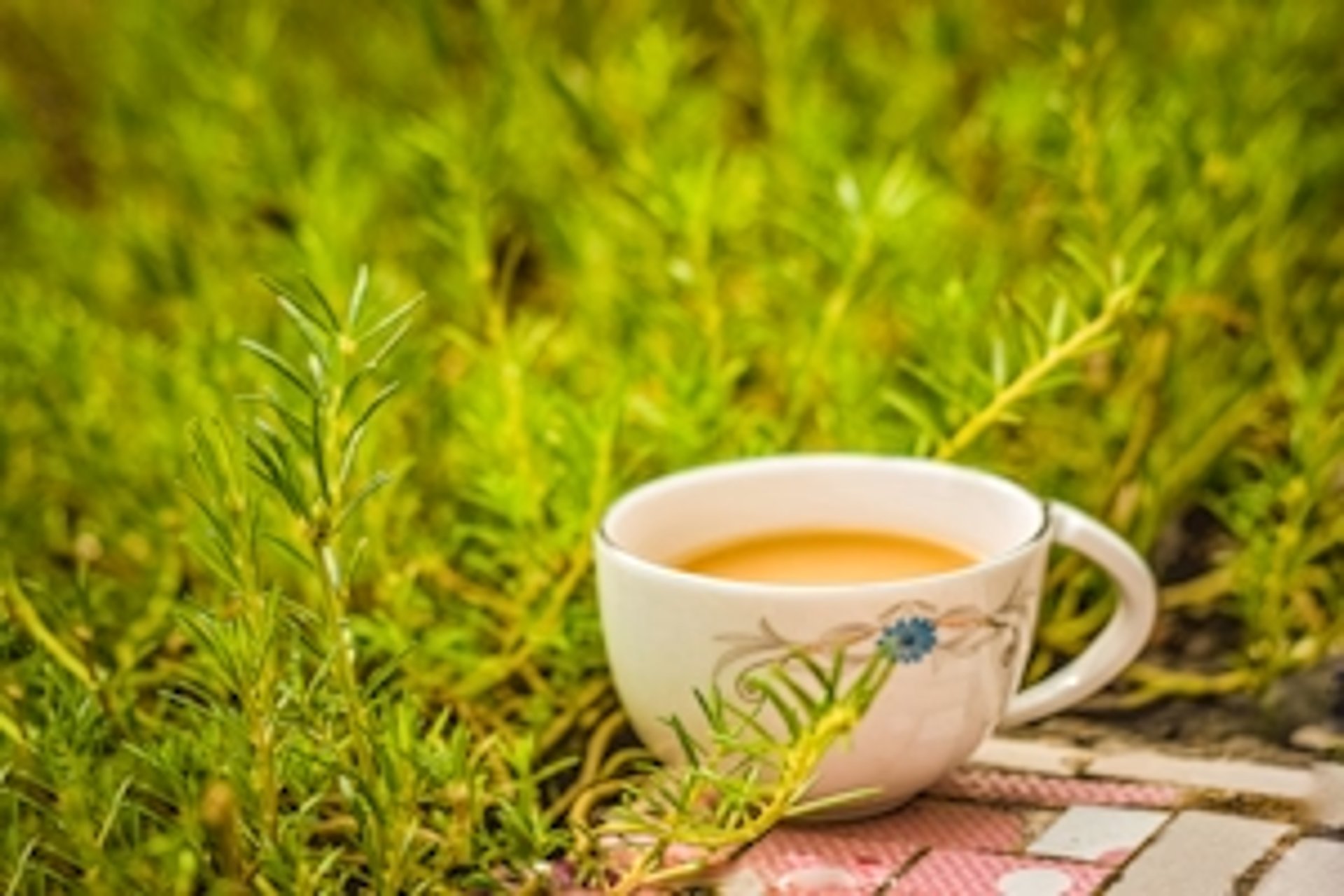 green ceramic mug on brown wooden table