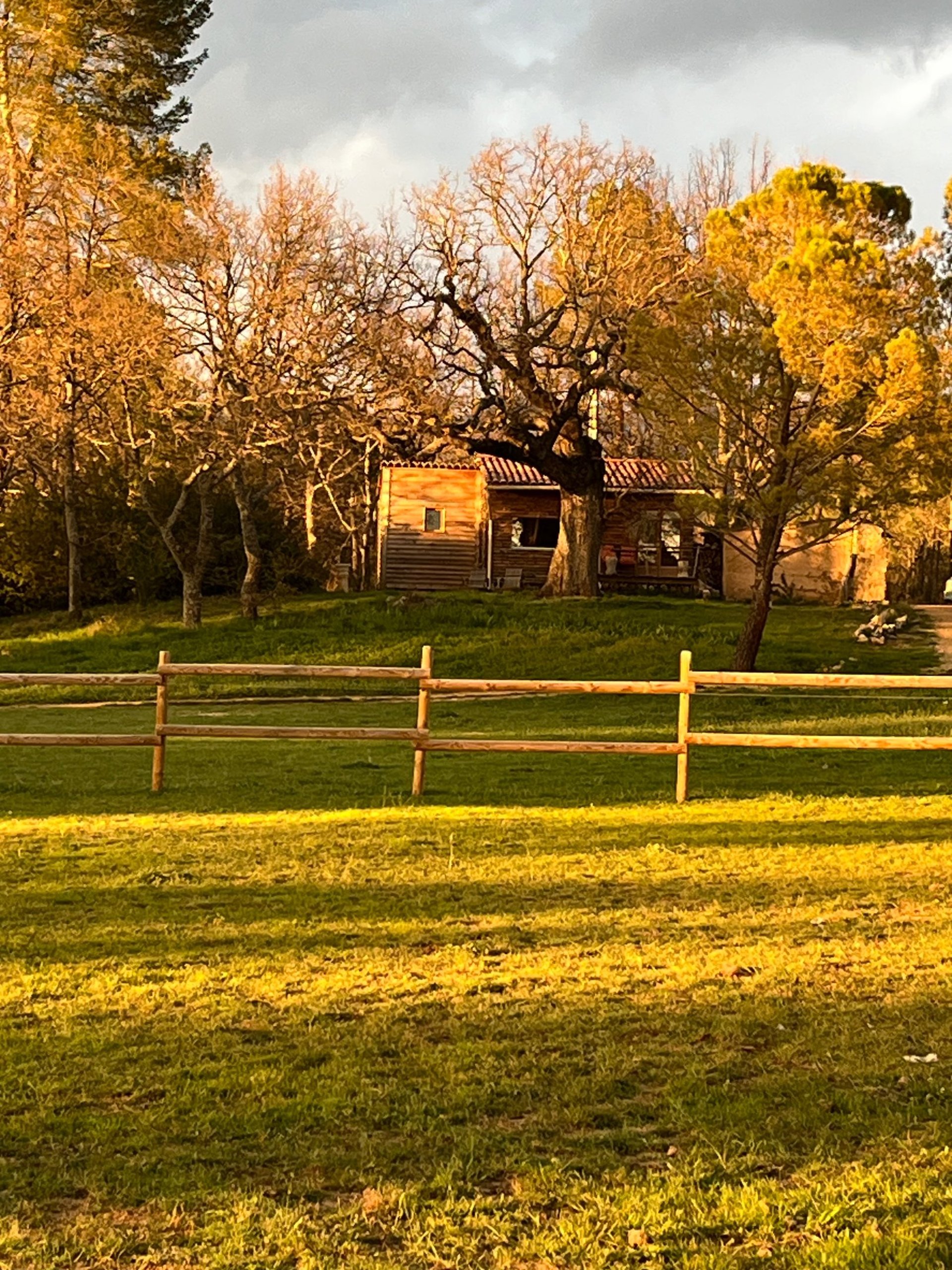 woman wearing yellow long-sleeved dress under white clouds and blue sky during daytime