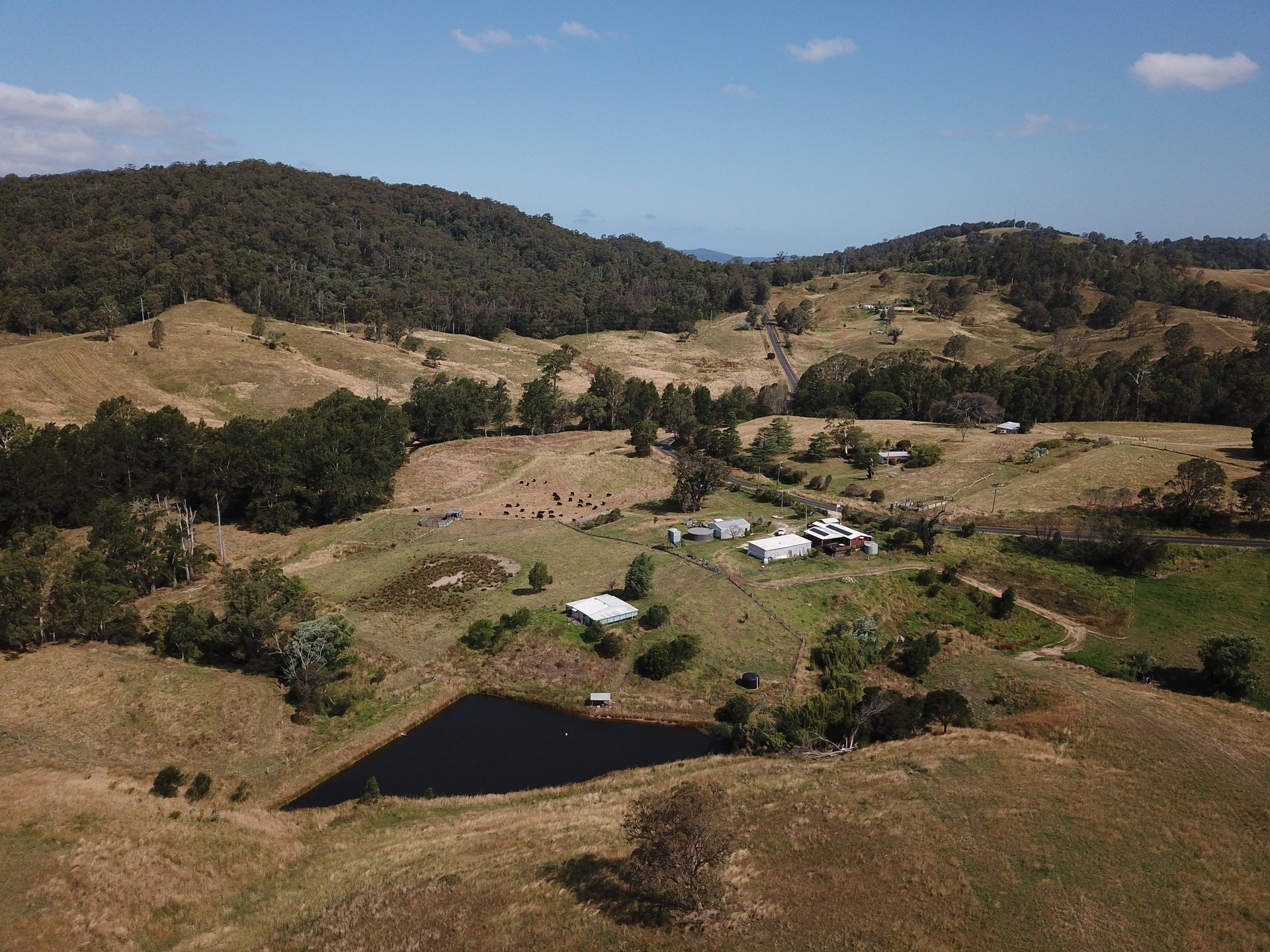 View of Dam at Brogo