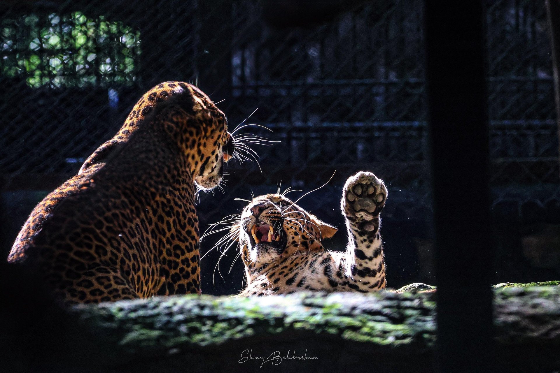 brown mountains near body of water during daytime