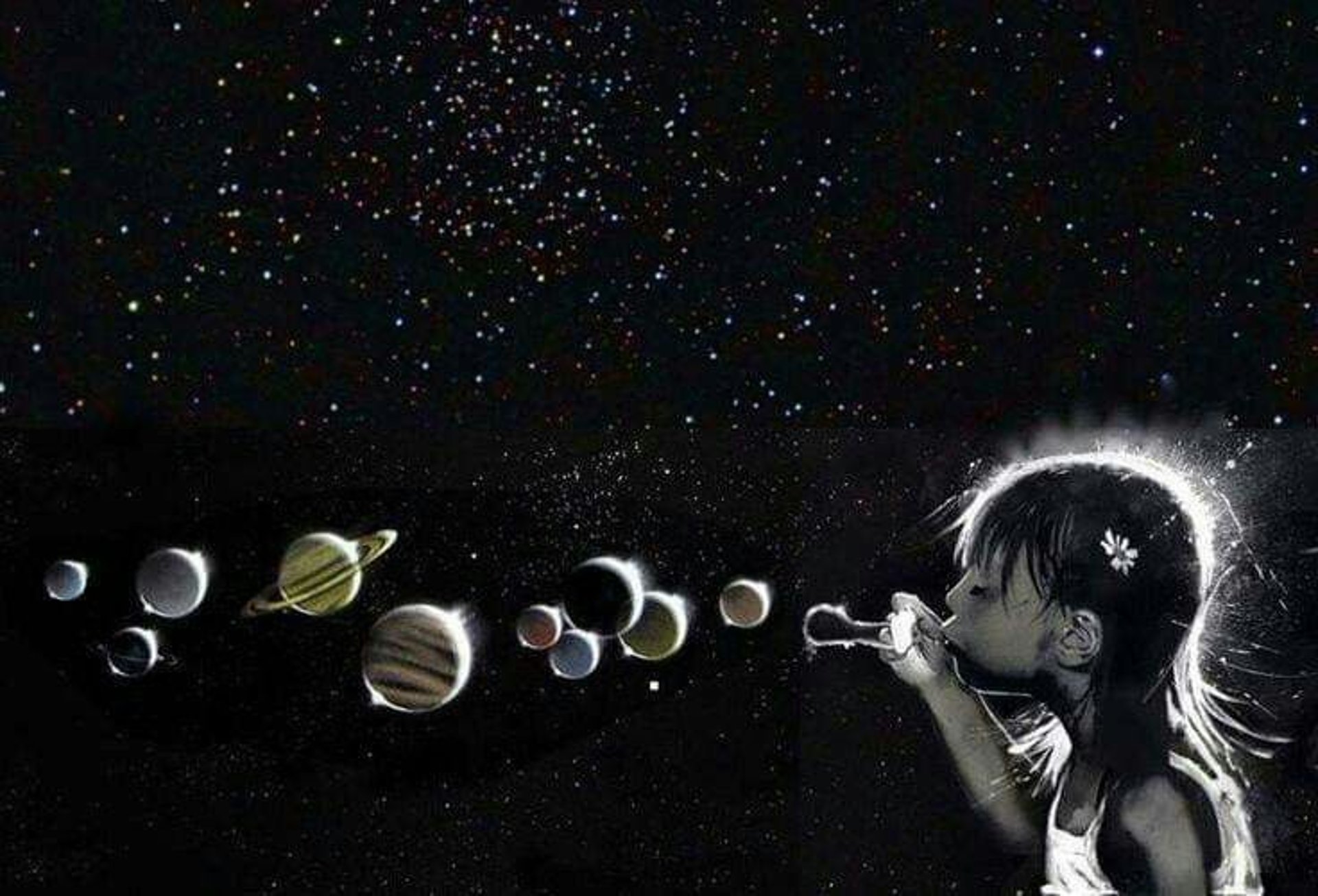 two brown and black cameras