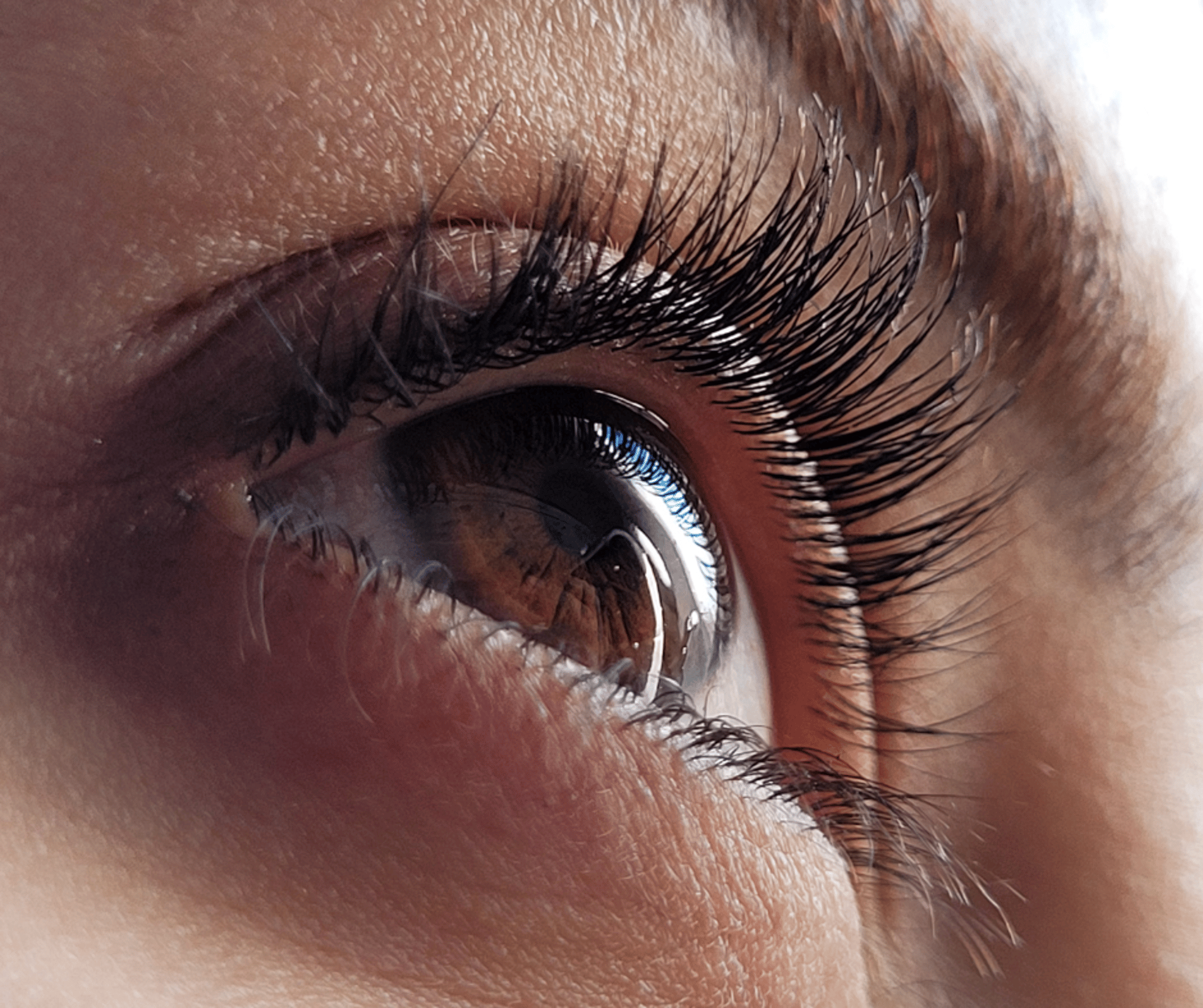 persons brown eyes with brown eyes