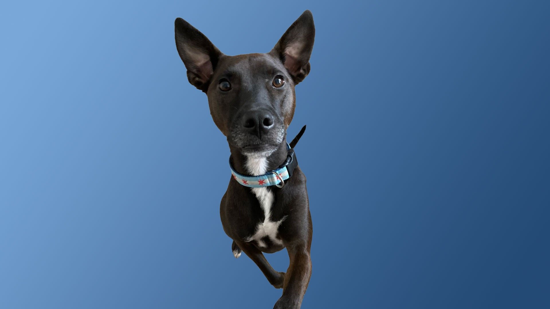 person wearing grey knit sweater