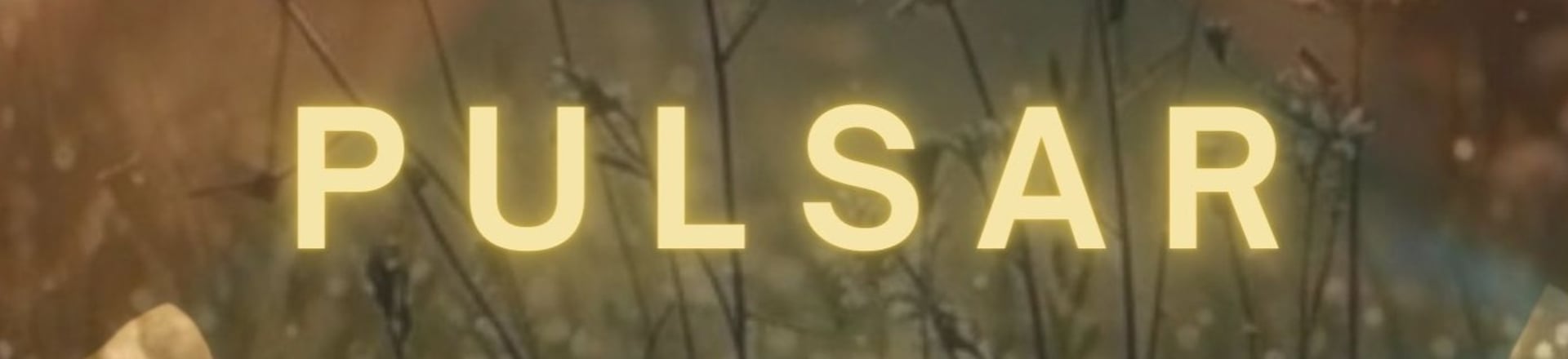 low angle of green leafed trees