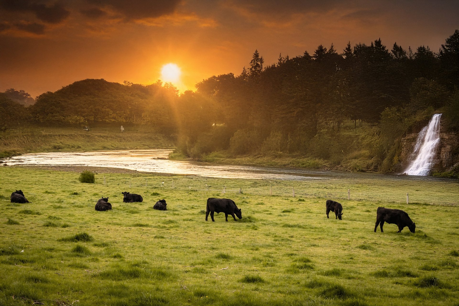 black and white bed linen