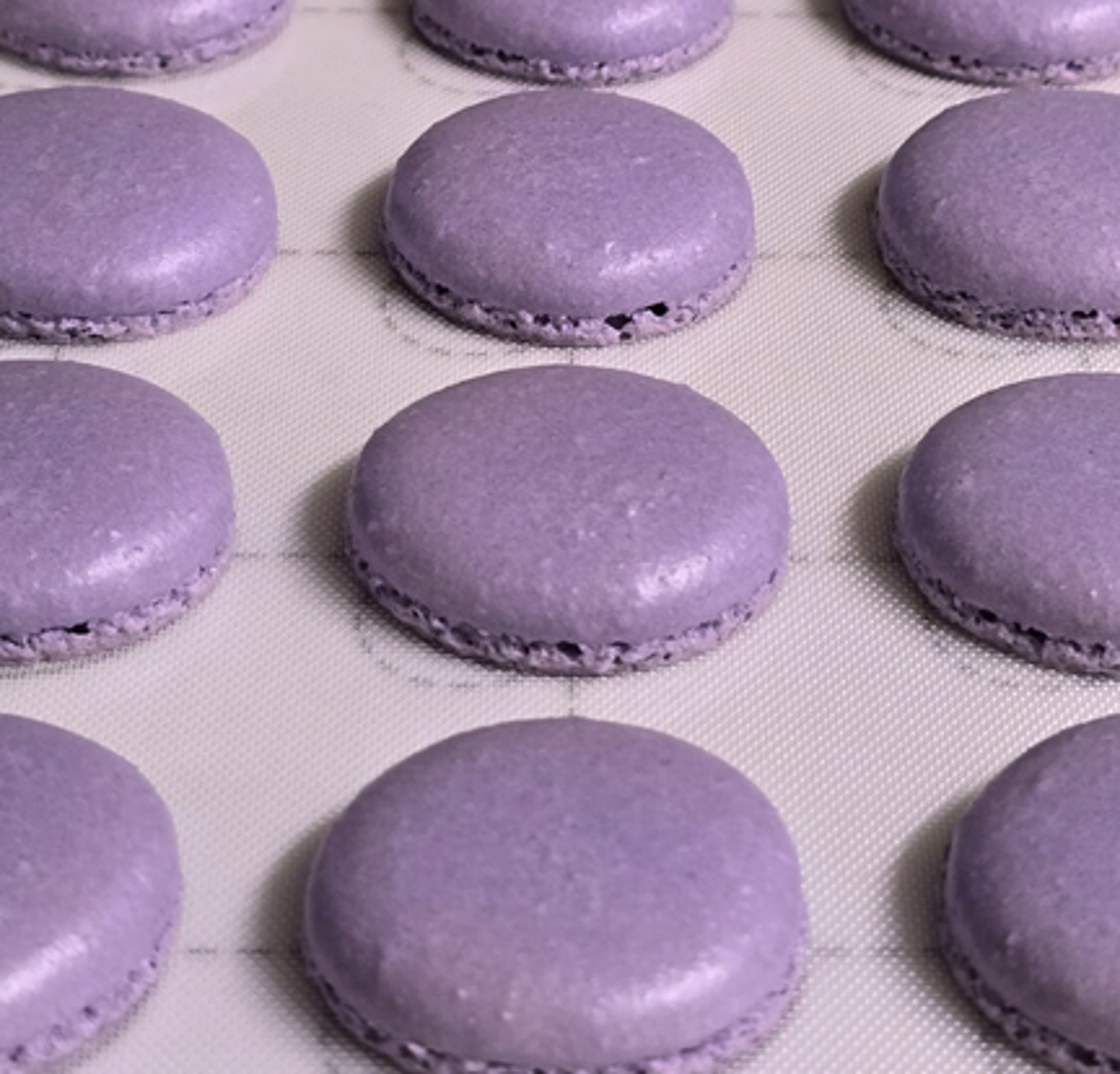 macarons on table