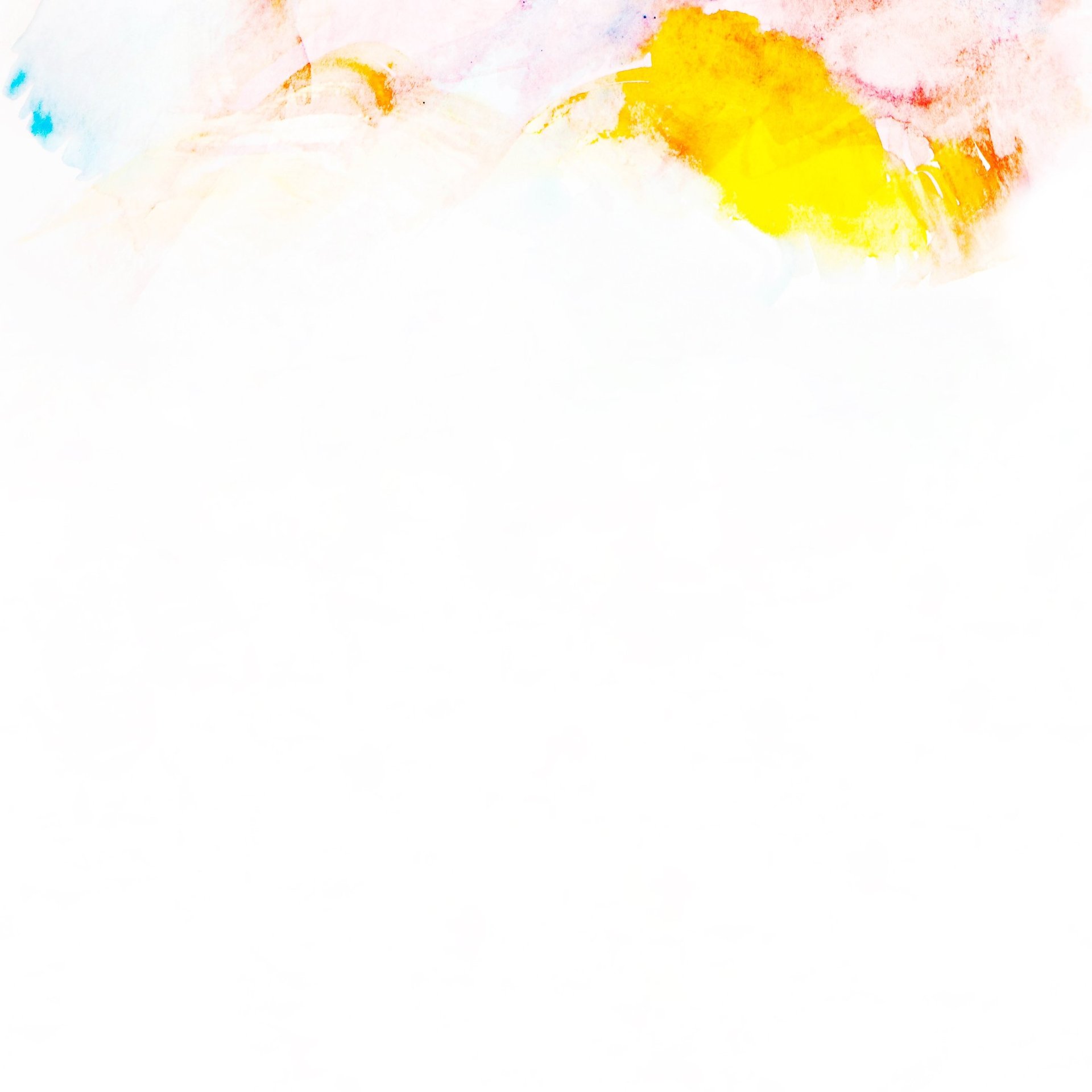 pink petaled flower on white background