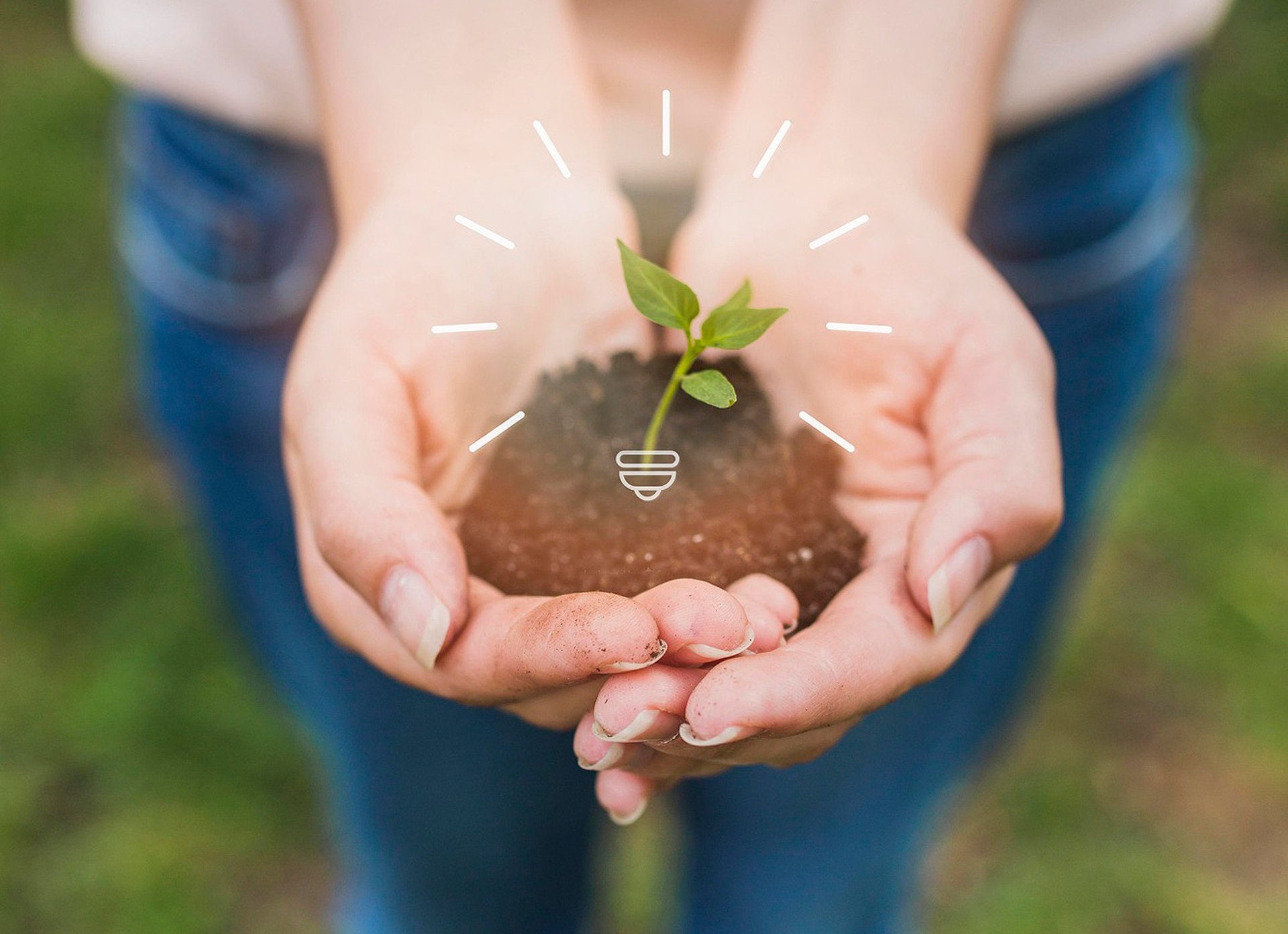 sustentabilidade e eficiência energética