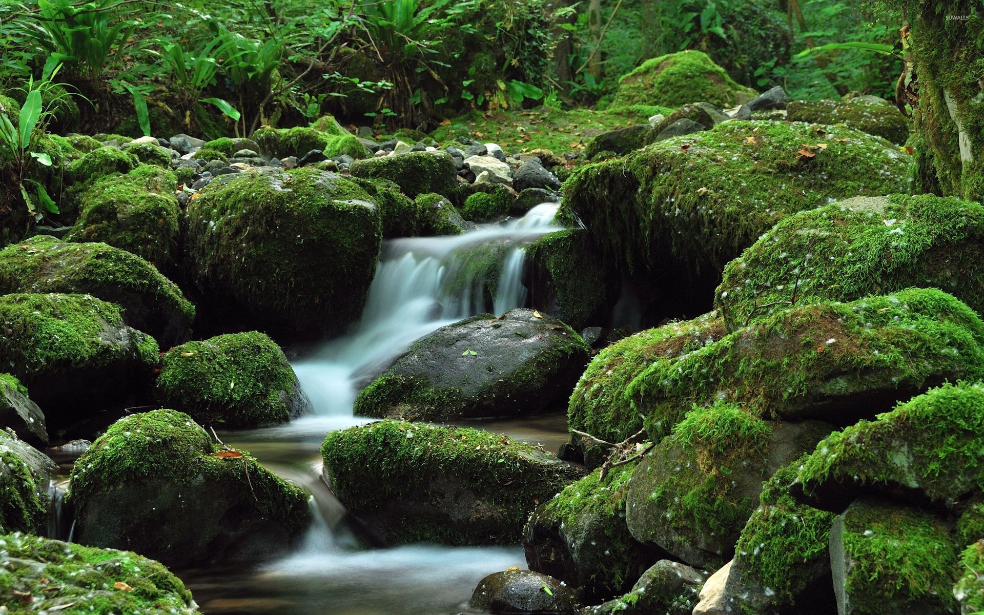 waterfall background for contact us page