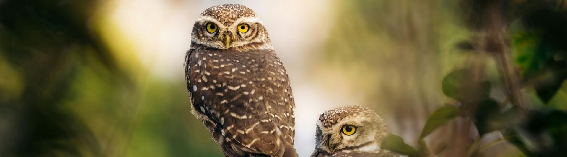 clear blue body of water