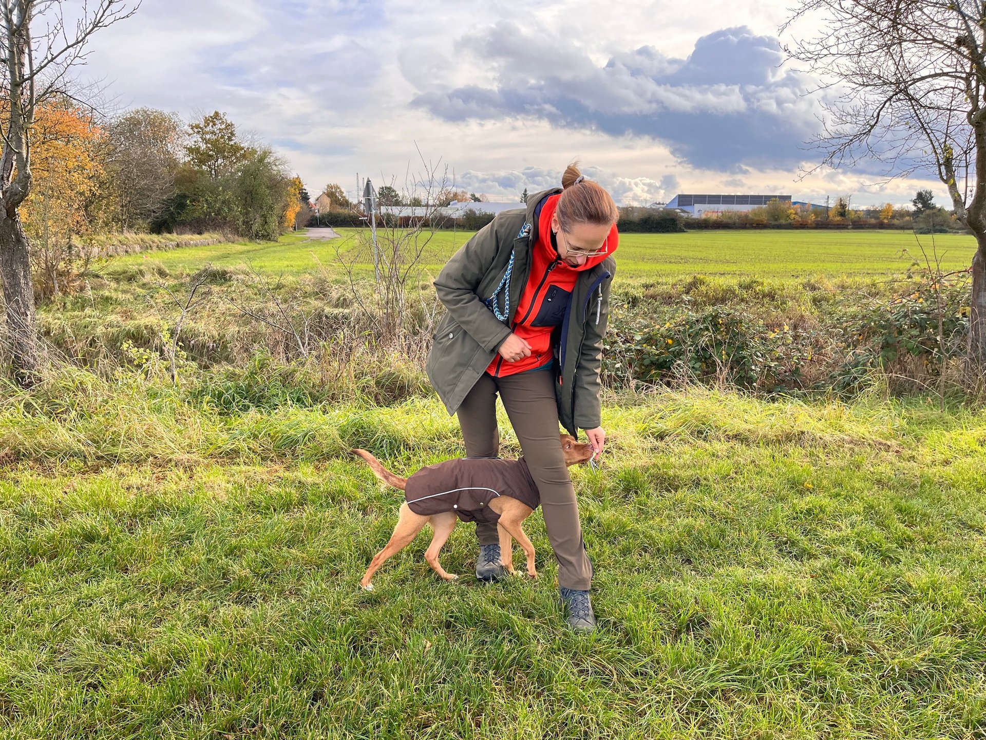 black and brown leather padded tub sofa