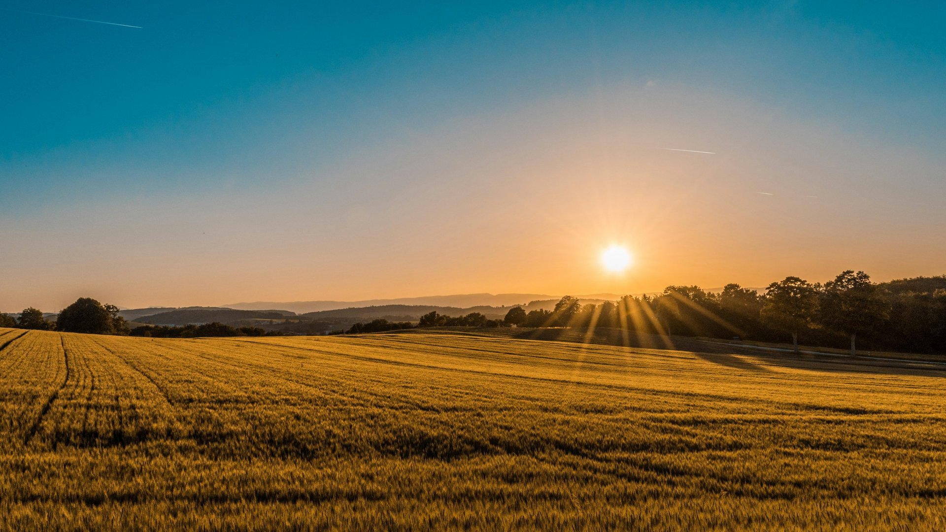 landscape photography of field