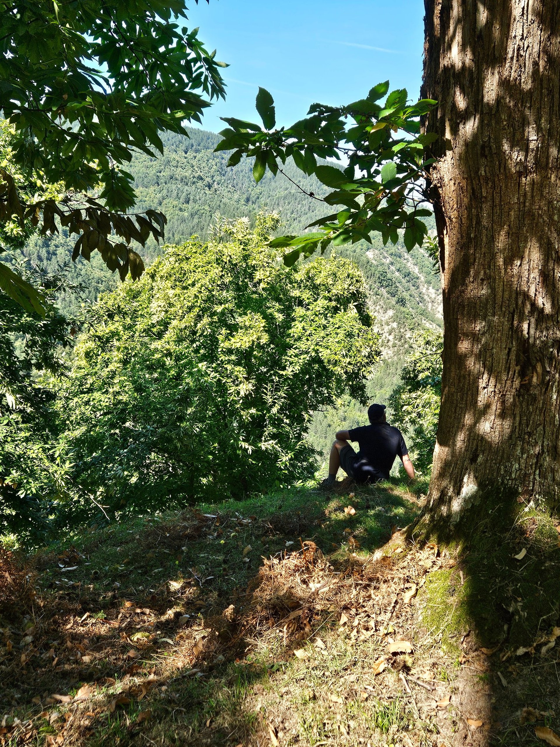 gray computer monitor