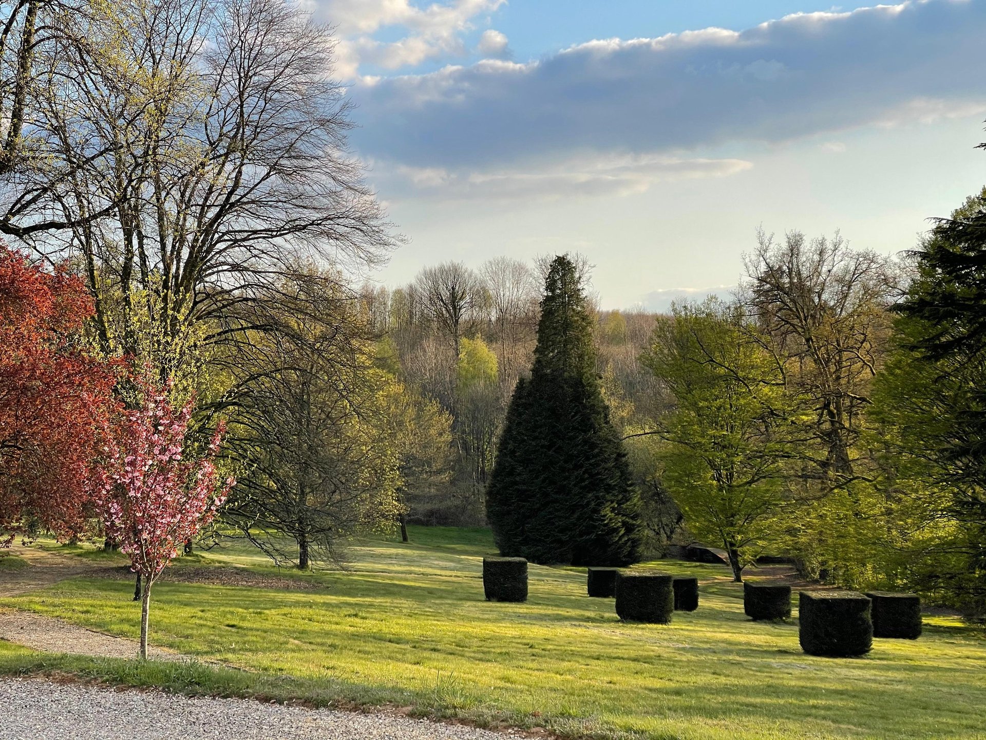 black blue and yellow textile