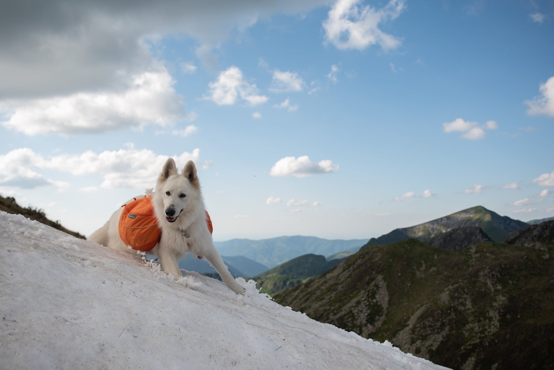 woman wearing yellow long-sleeved dress under white clouds and blue sky during daytime