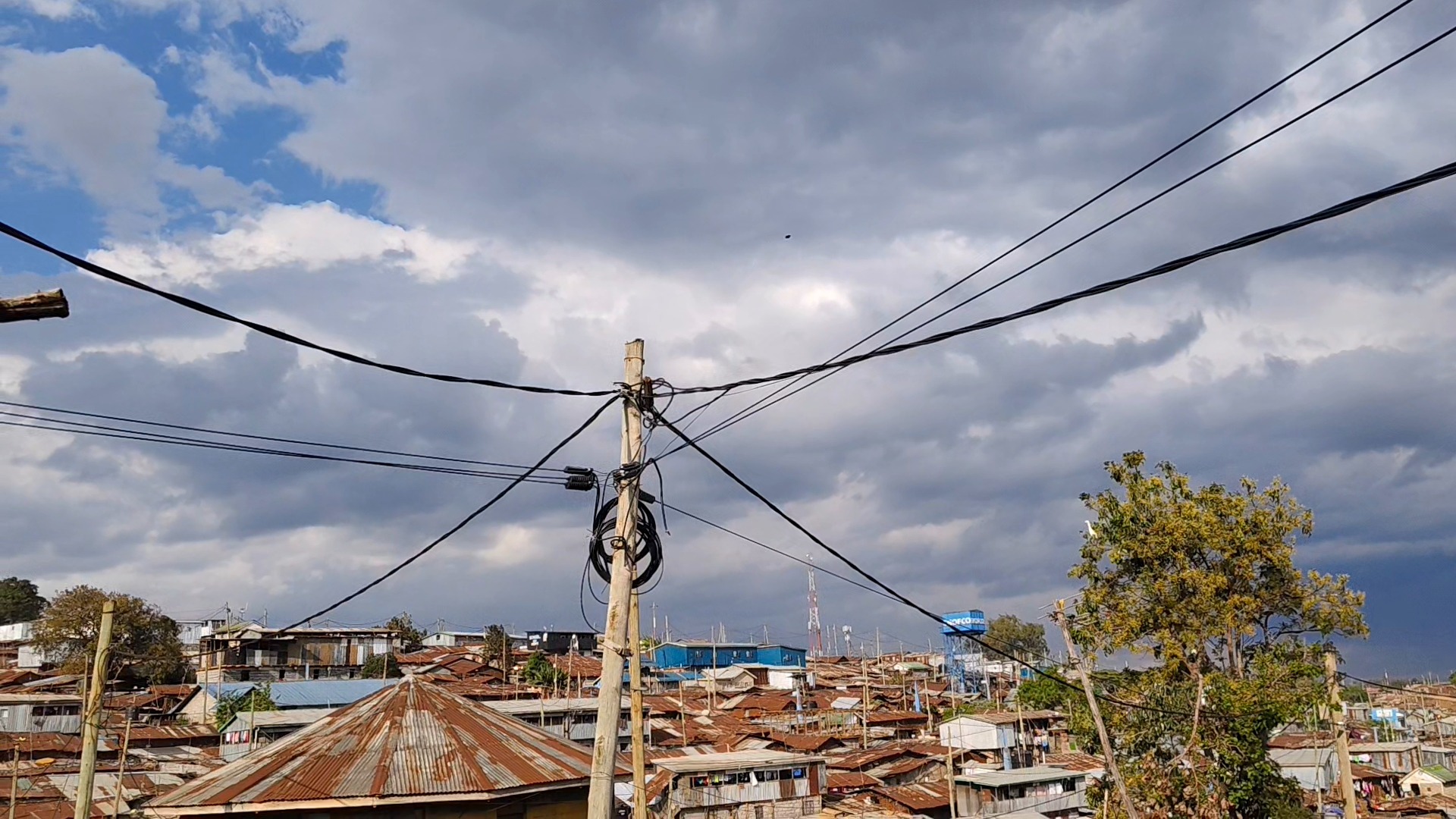 black and white bed linen