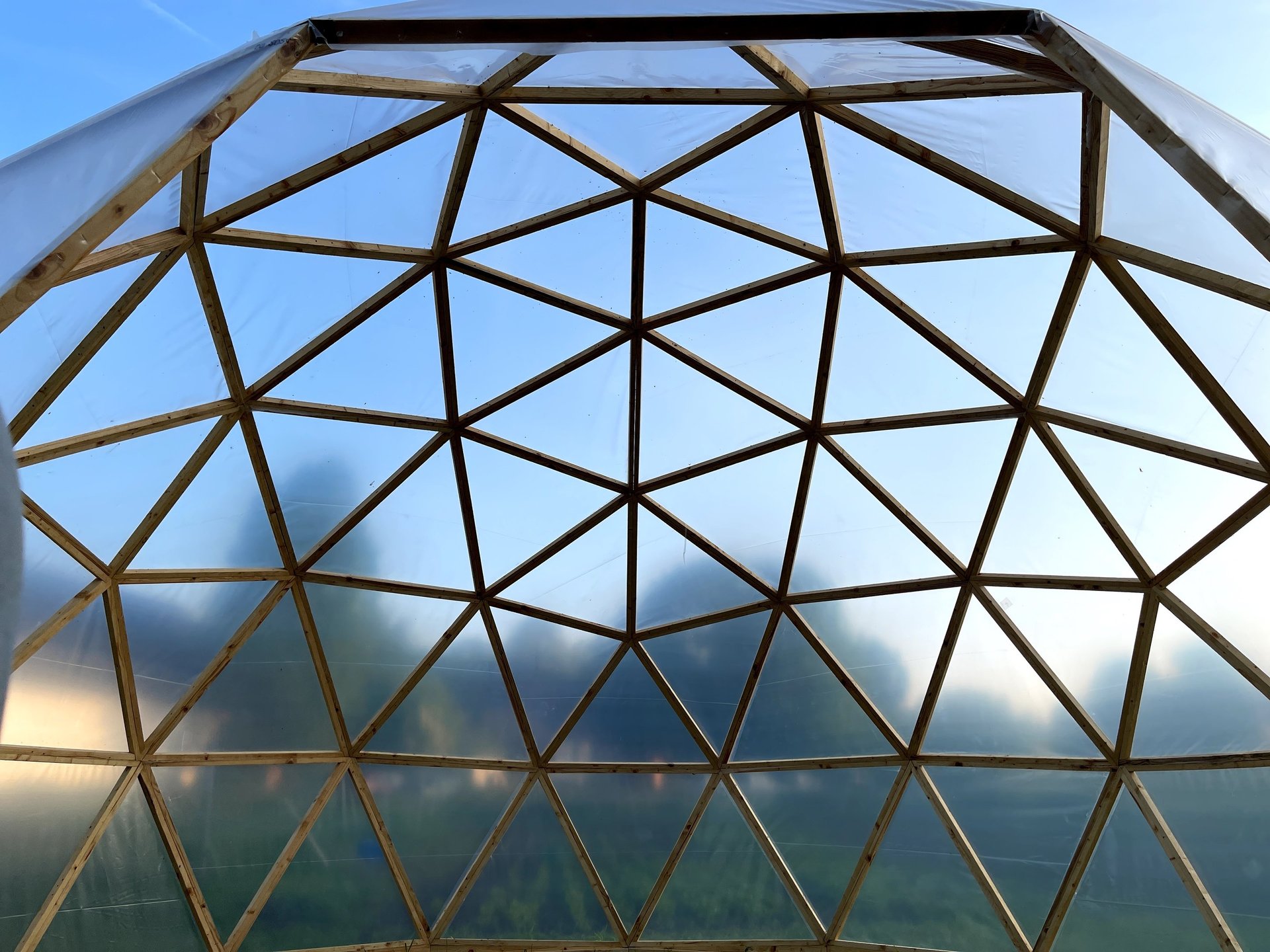 purple flower field during daytime