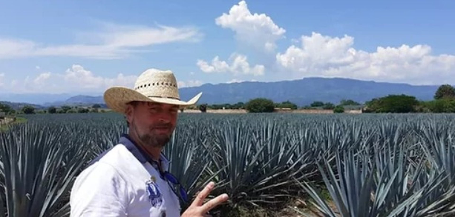 black blue and yellow textile