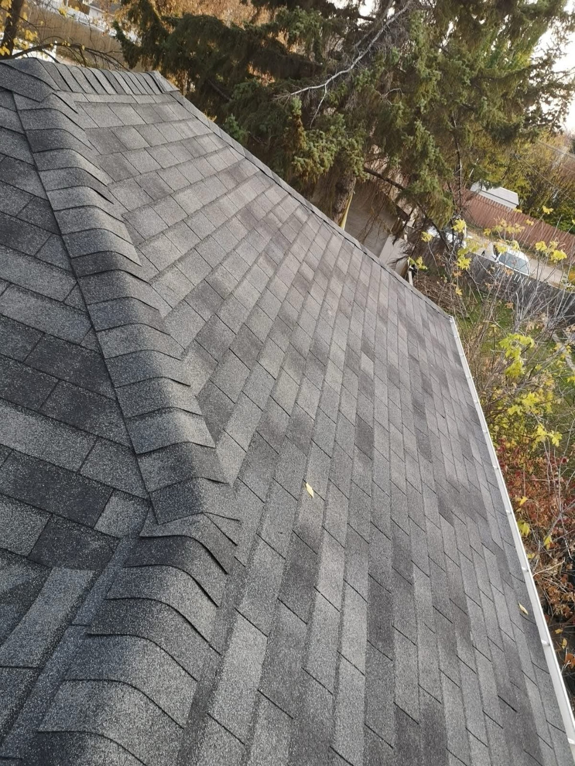 a close up of a roof with a black shinnel