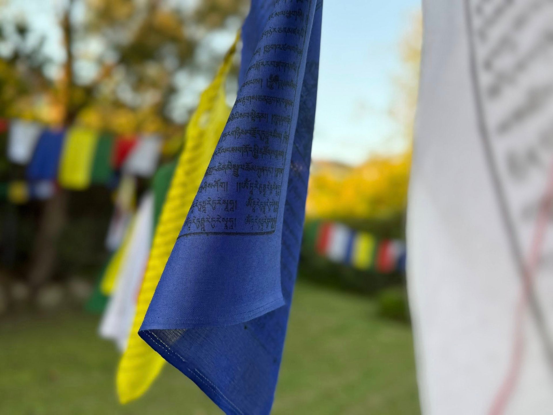 black and brown leather padded tub sofa