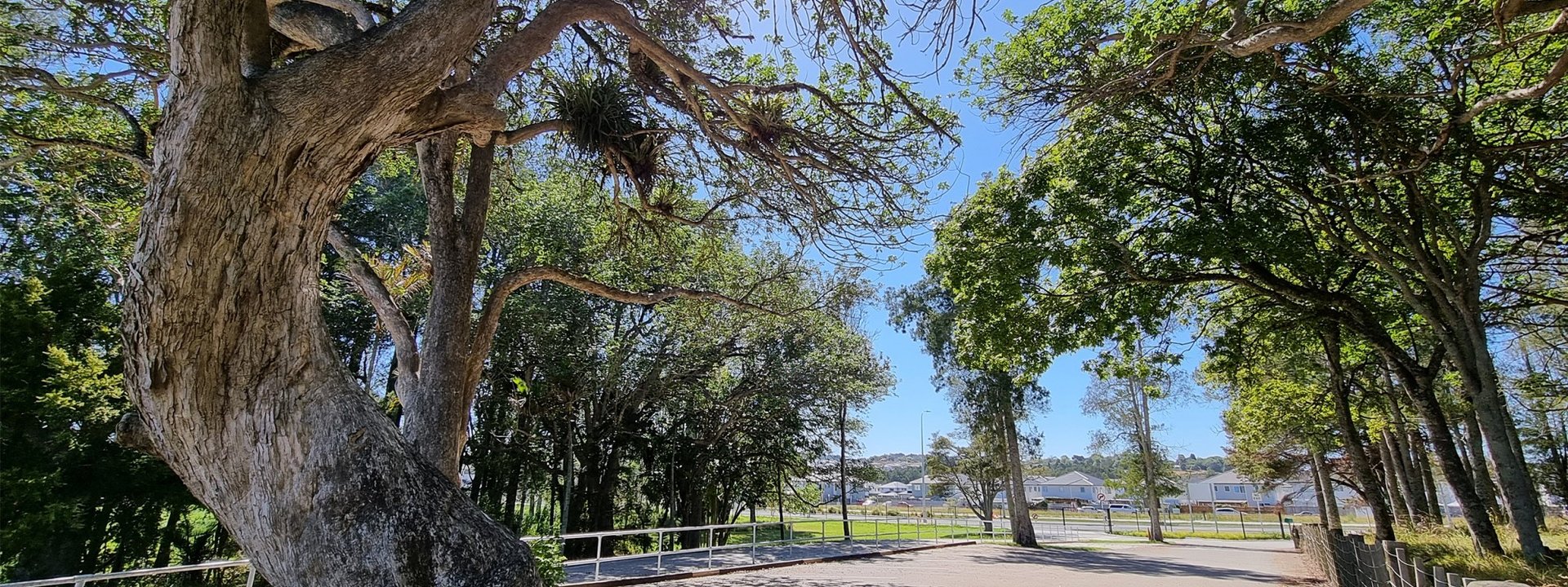 Wrapped candies in a white dish with red ribbon.