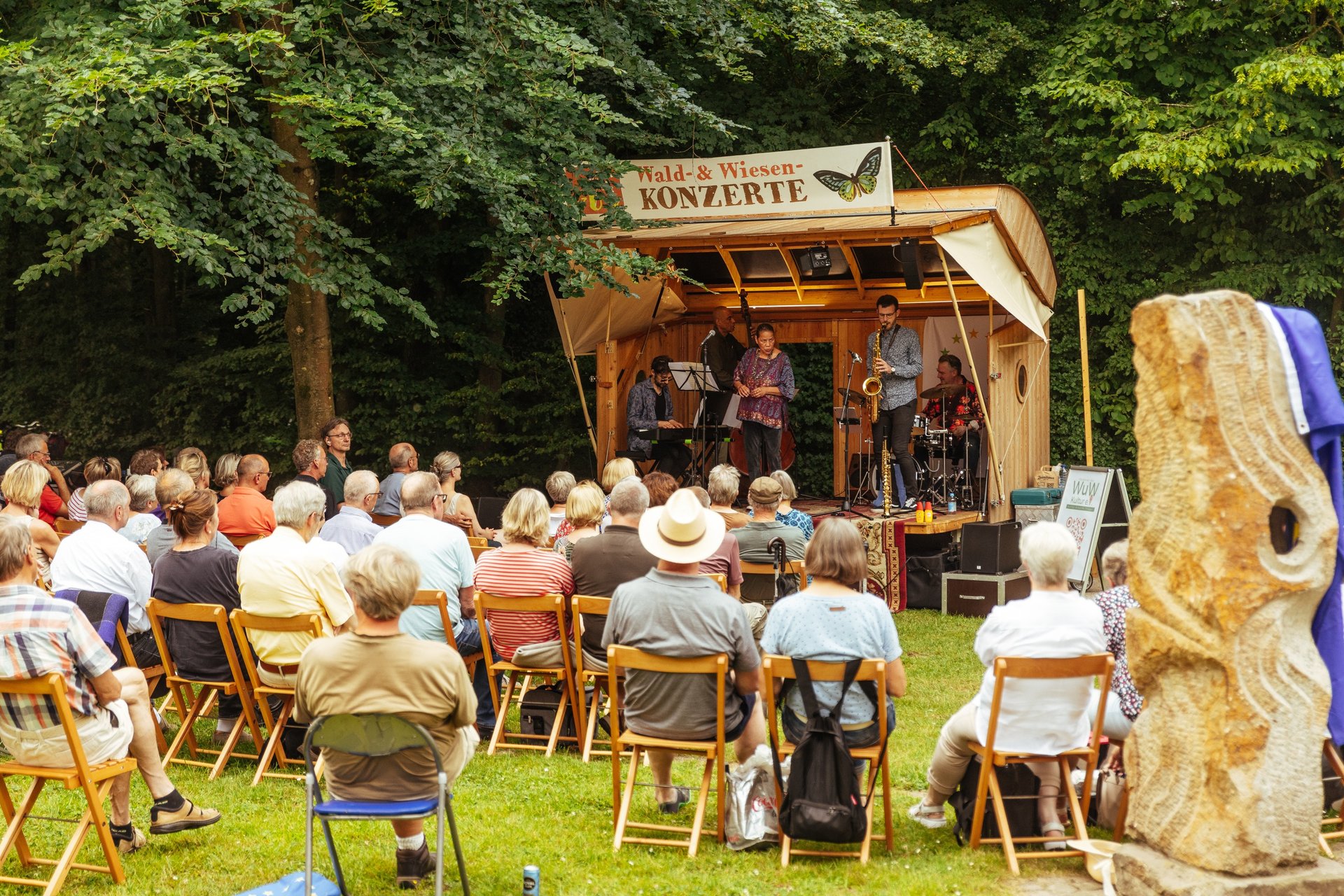 a group of people sitting in lawn chairs under a tree