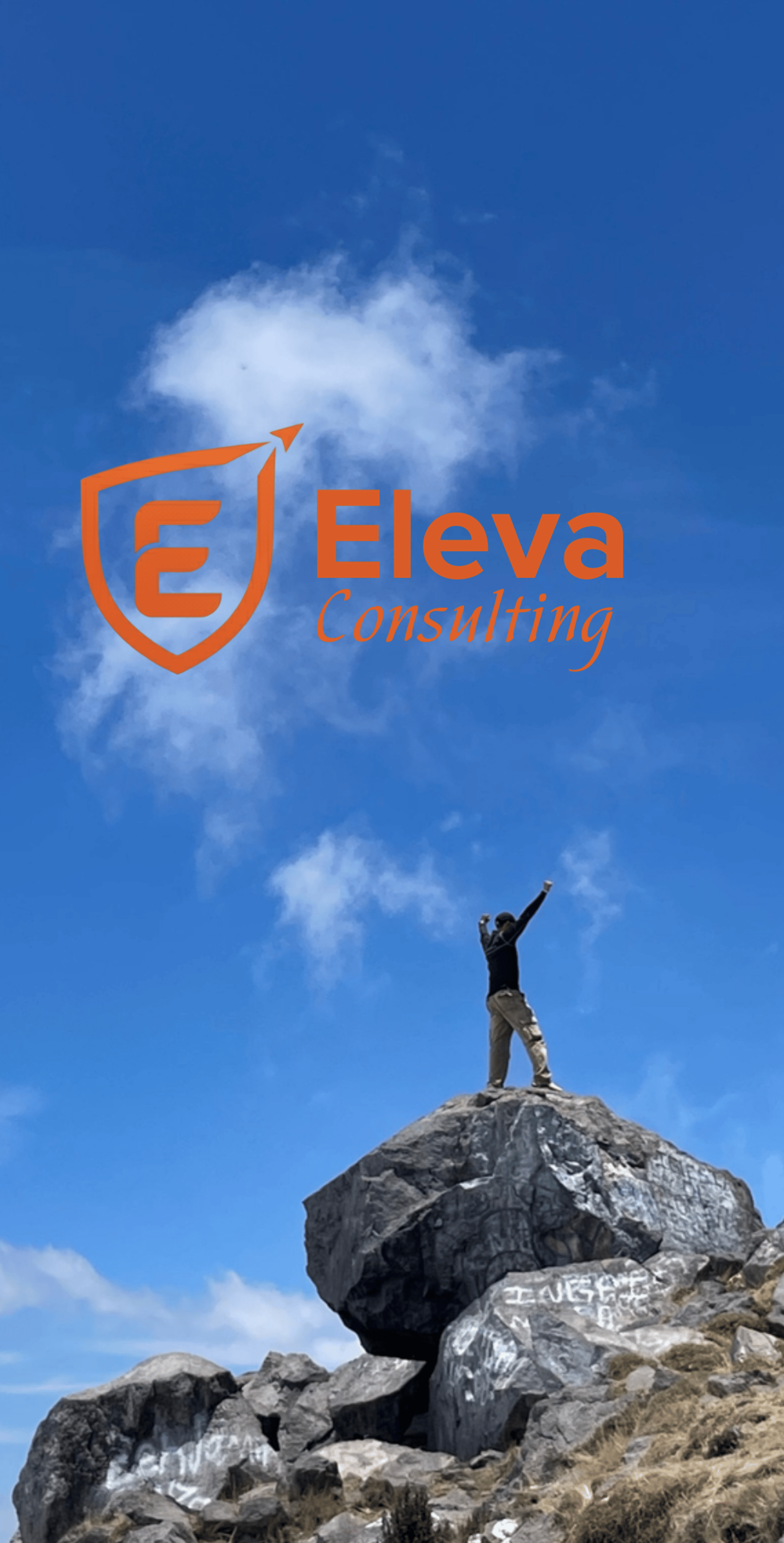 black and brown leather padded tub sofa