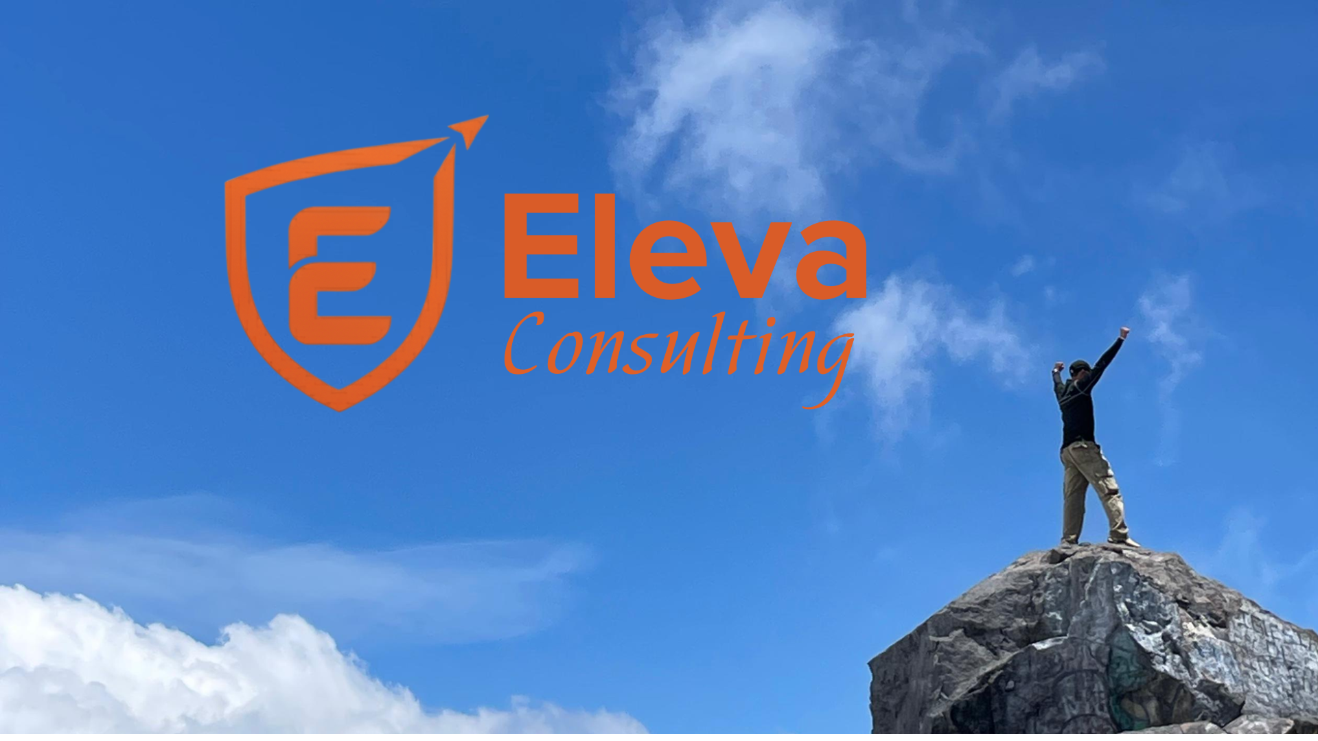 black and brown leather padded tub sofa