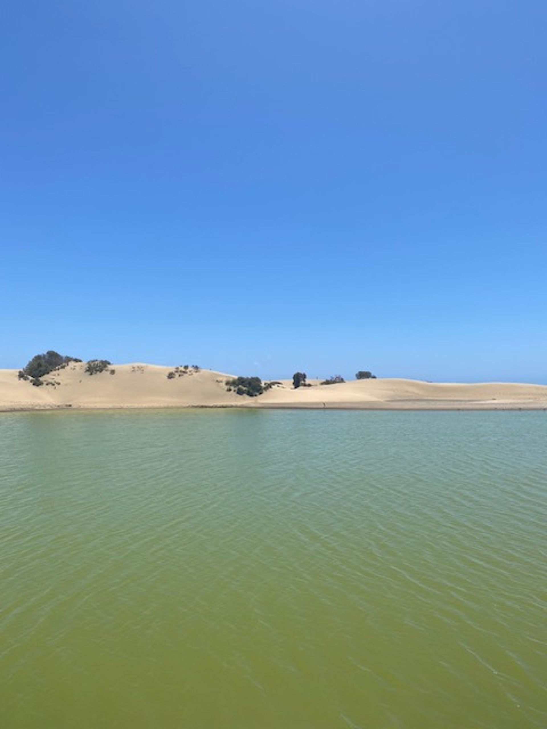 water falls in the forest