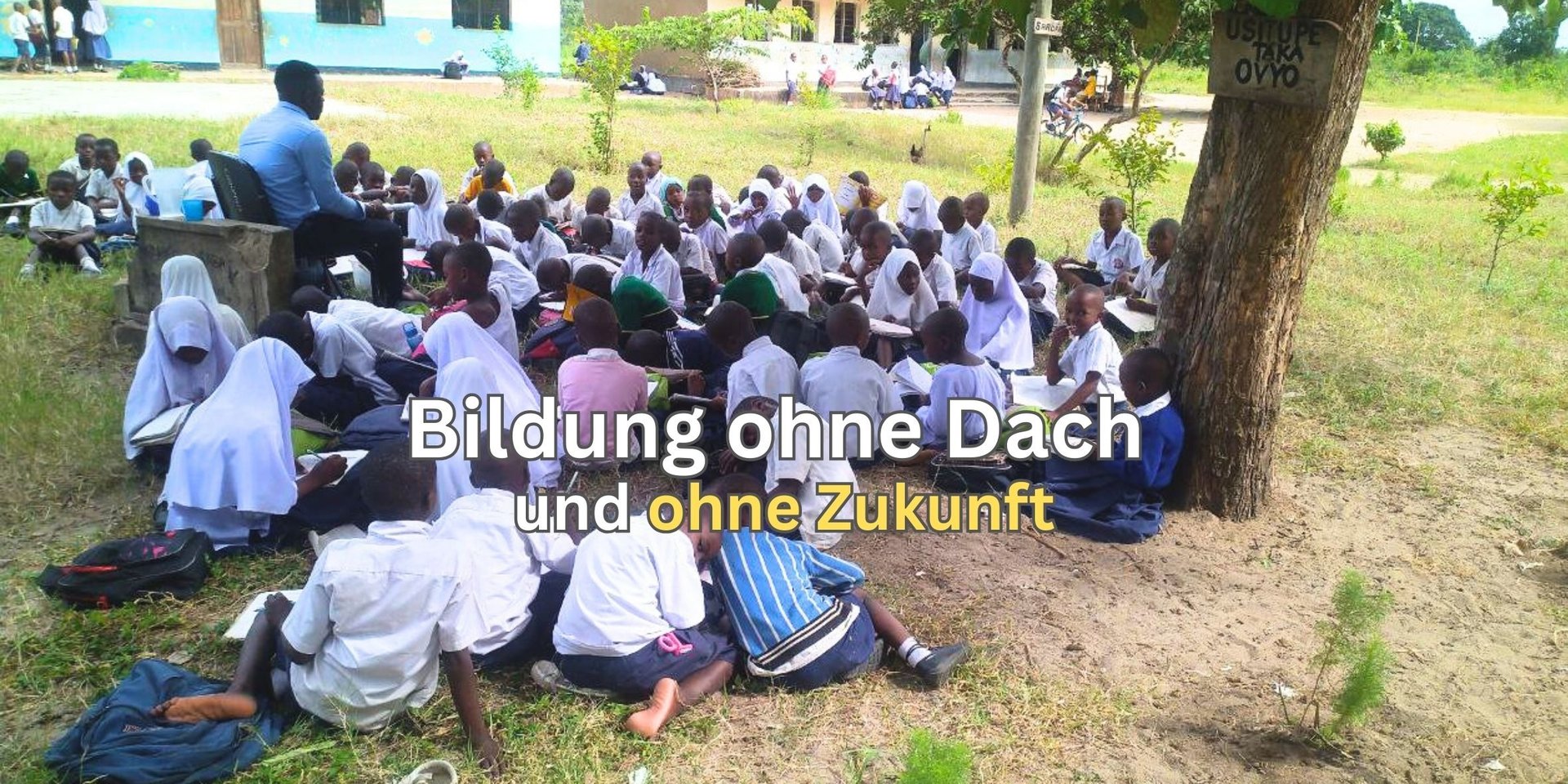 rootsandwings afrikanische schule unterstützen miembasabe kinder im freiunterricht unter einem baum