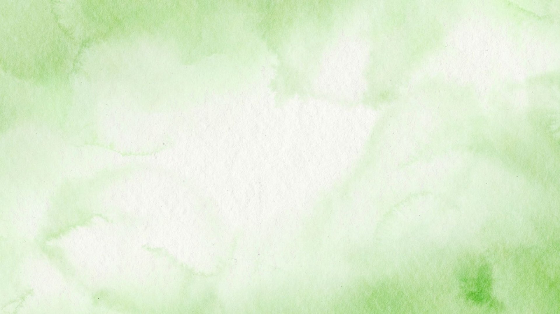 green leaves in close up photography