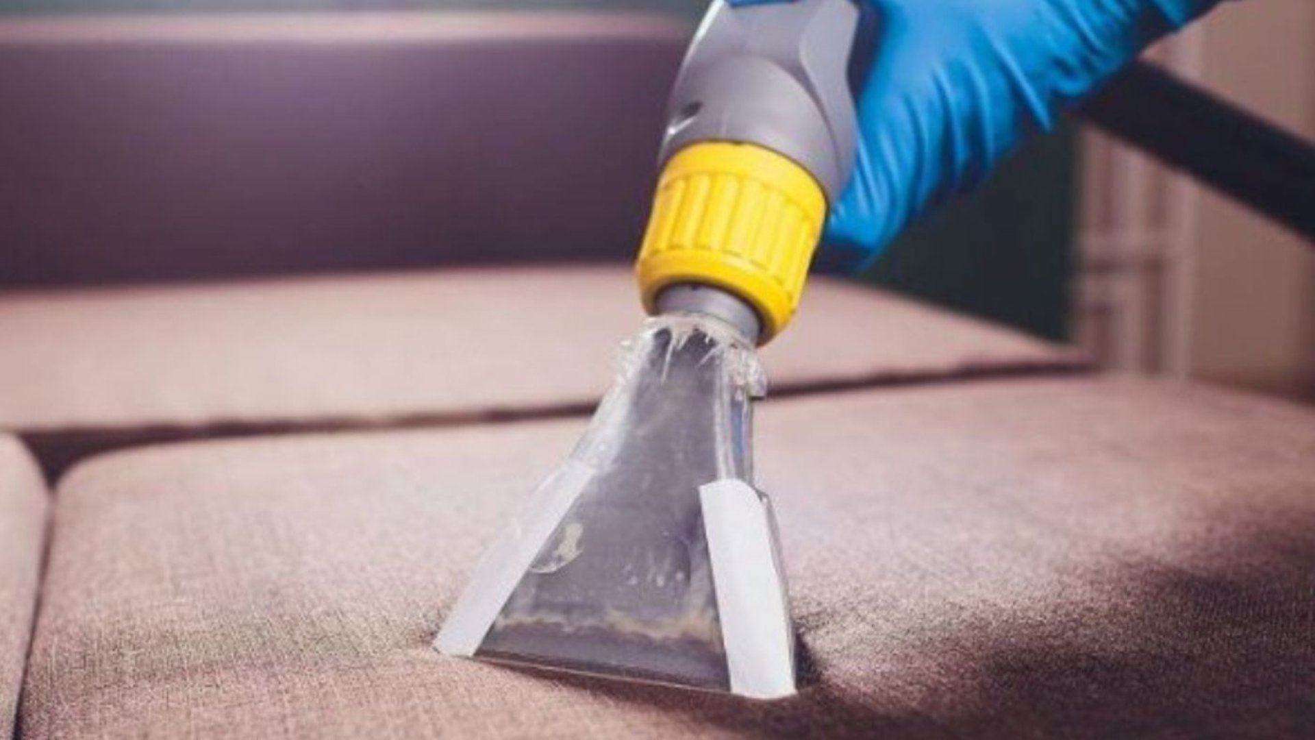 Nettoyage professionnel d'un canapé par NetT : utilisation d'un aspirateur à embout transparent par un expert en gants bleus