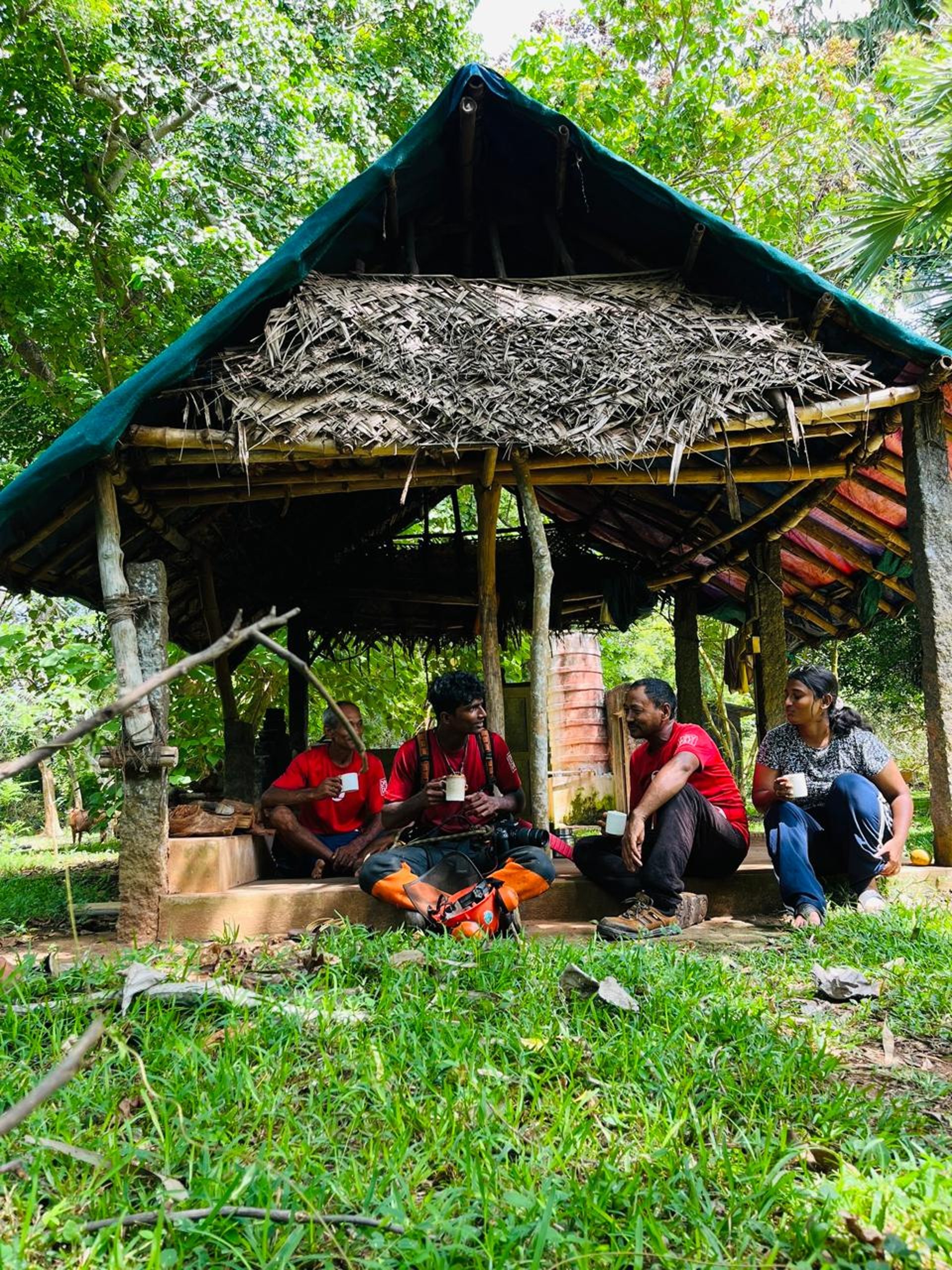 an abstract photo of a curved building with a blue sky in the background