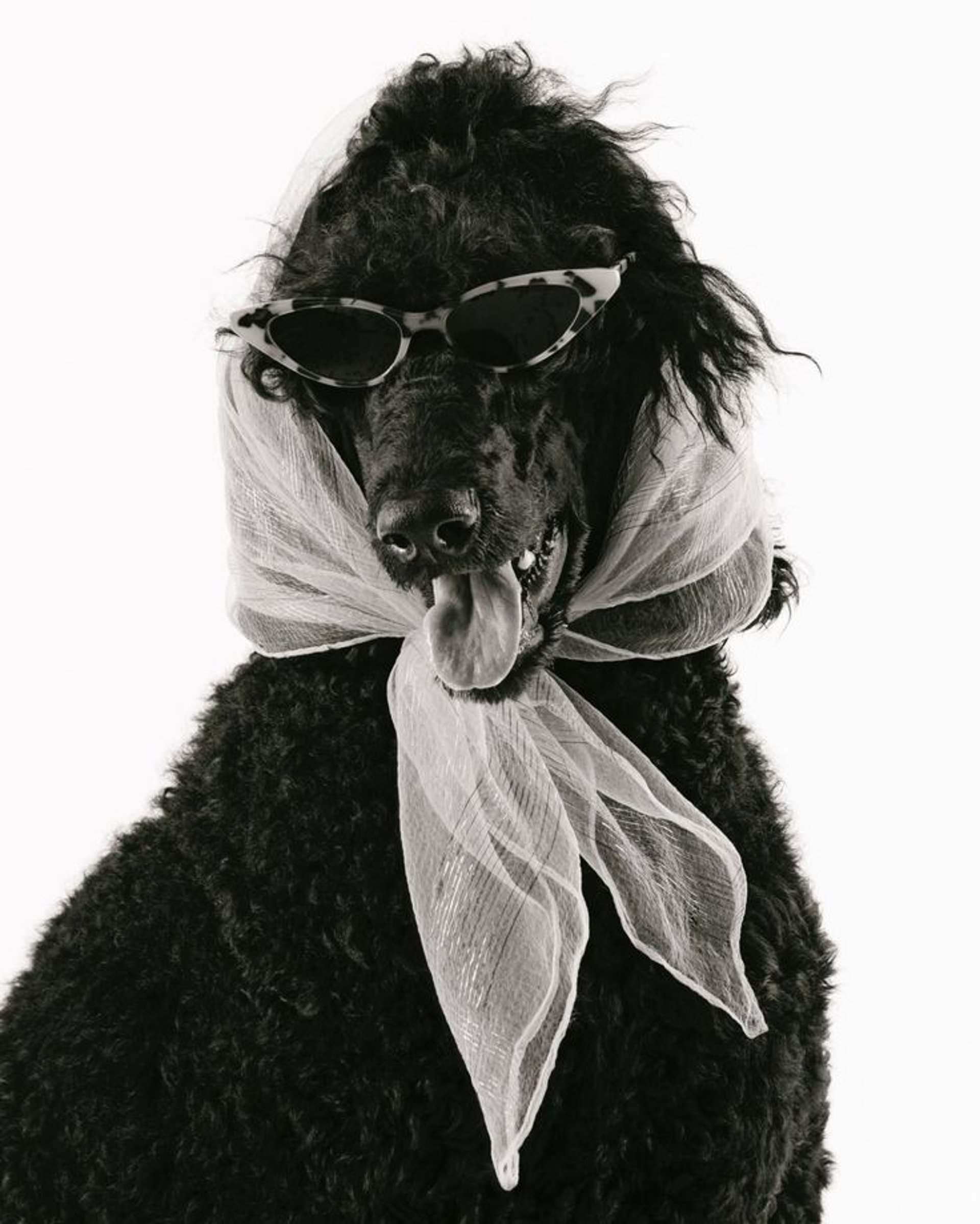 black and brown leather padded tub sofa