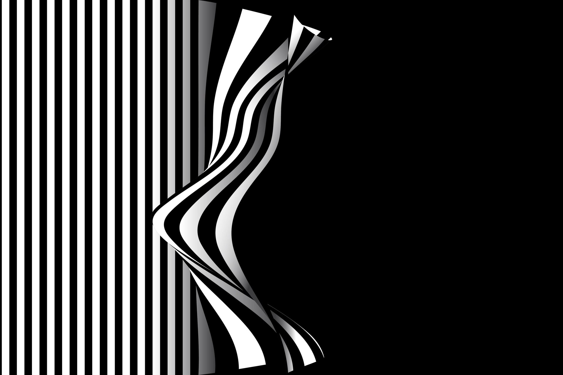 black and white bed linen