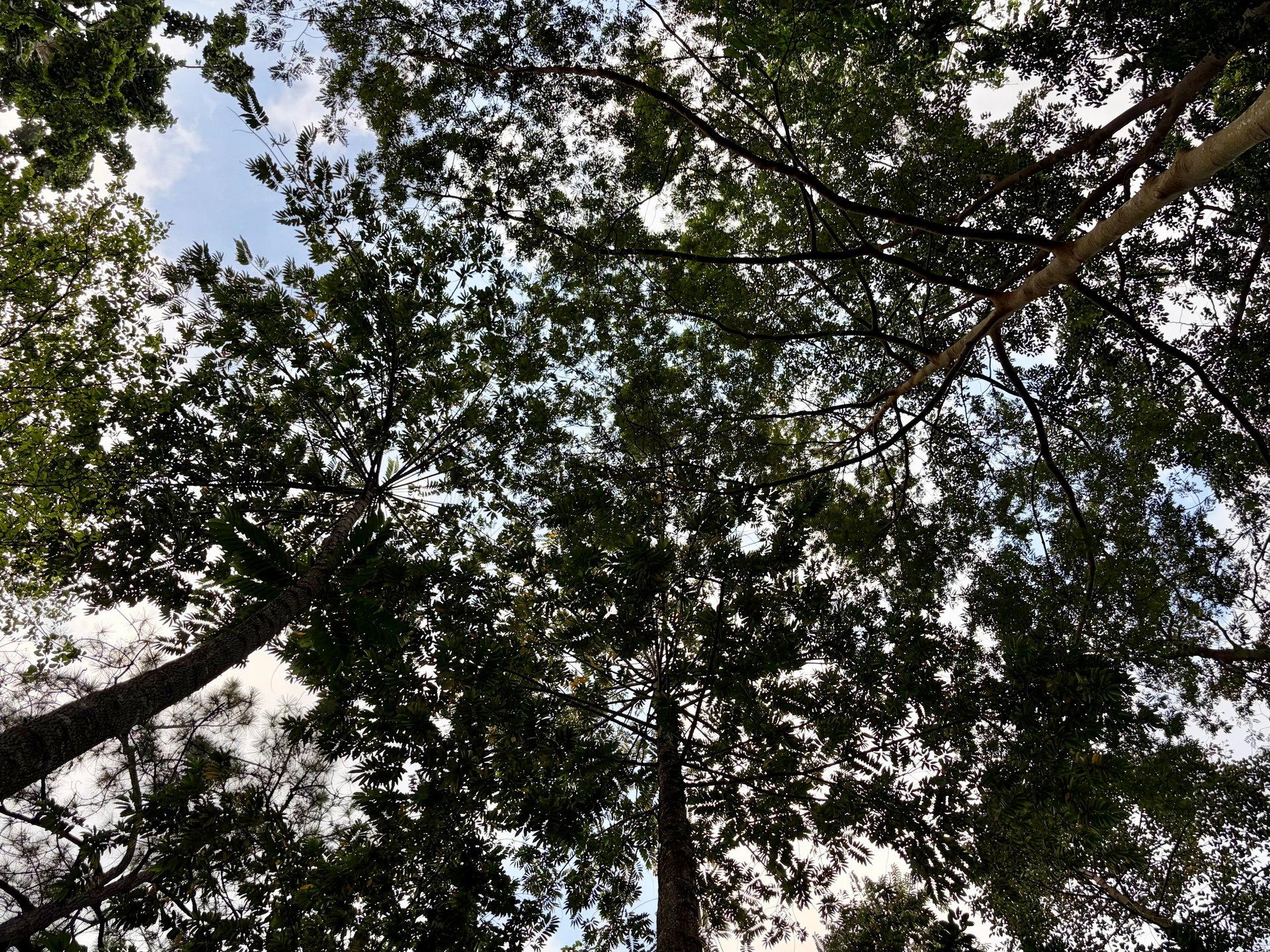 an abstract photo of a curved building with a blue sky in the background
