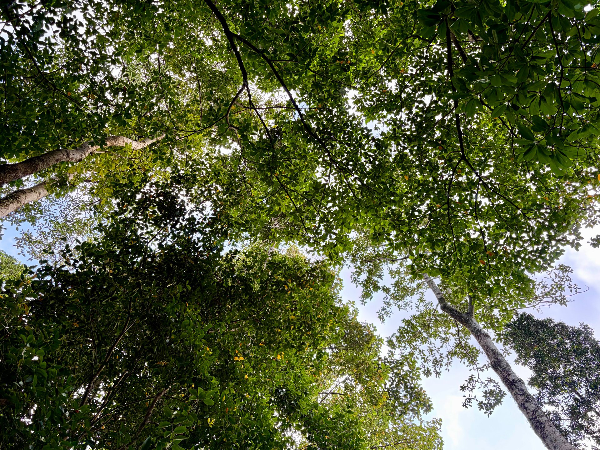 an abstract photo of a curved building with a blue sky in the background