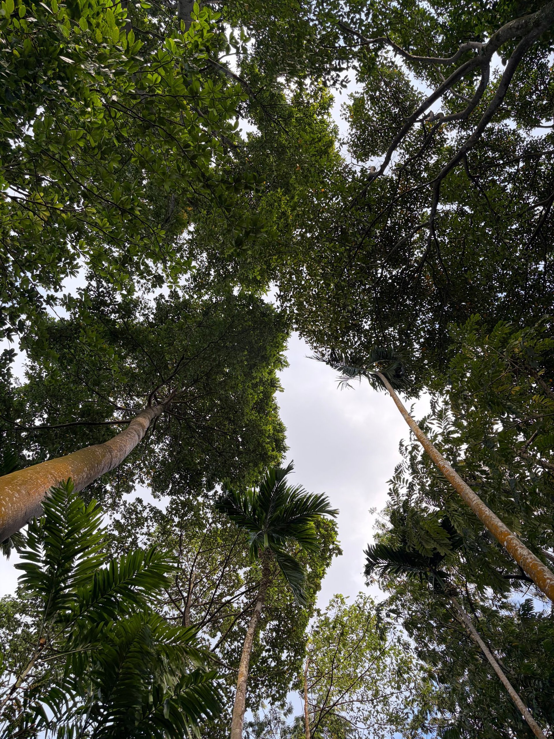 an abstract photo of a curved building with a blue sky in the background