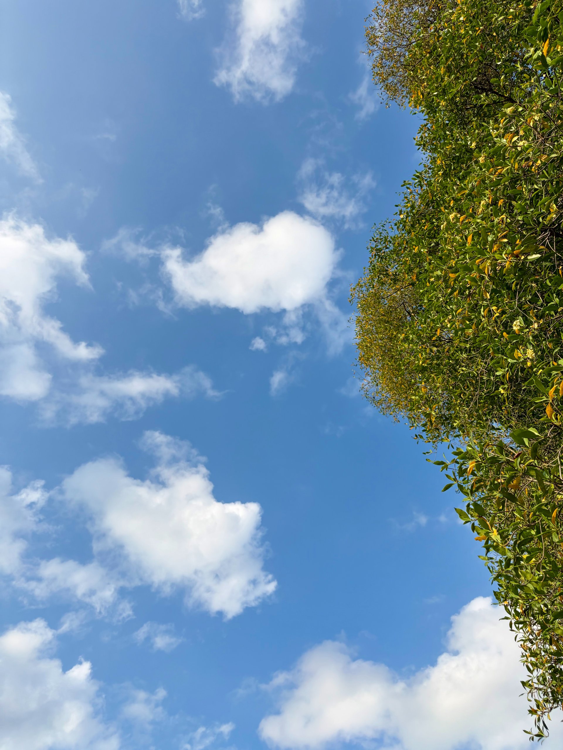 an abstract photo of a curved building with a blue sky in the background
