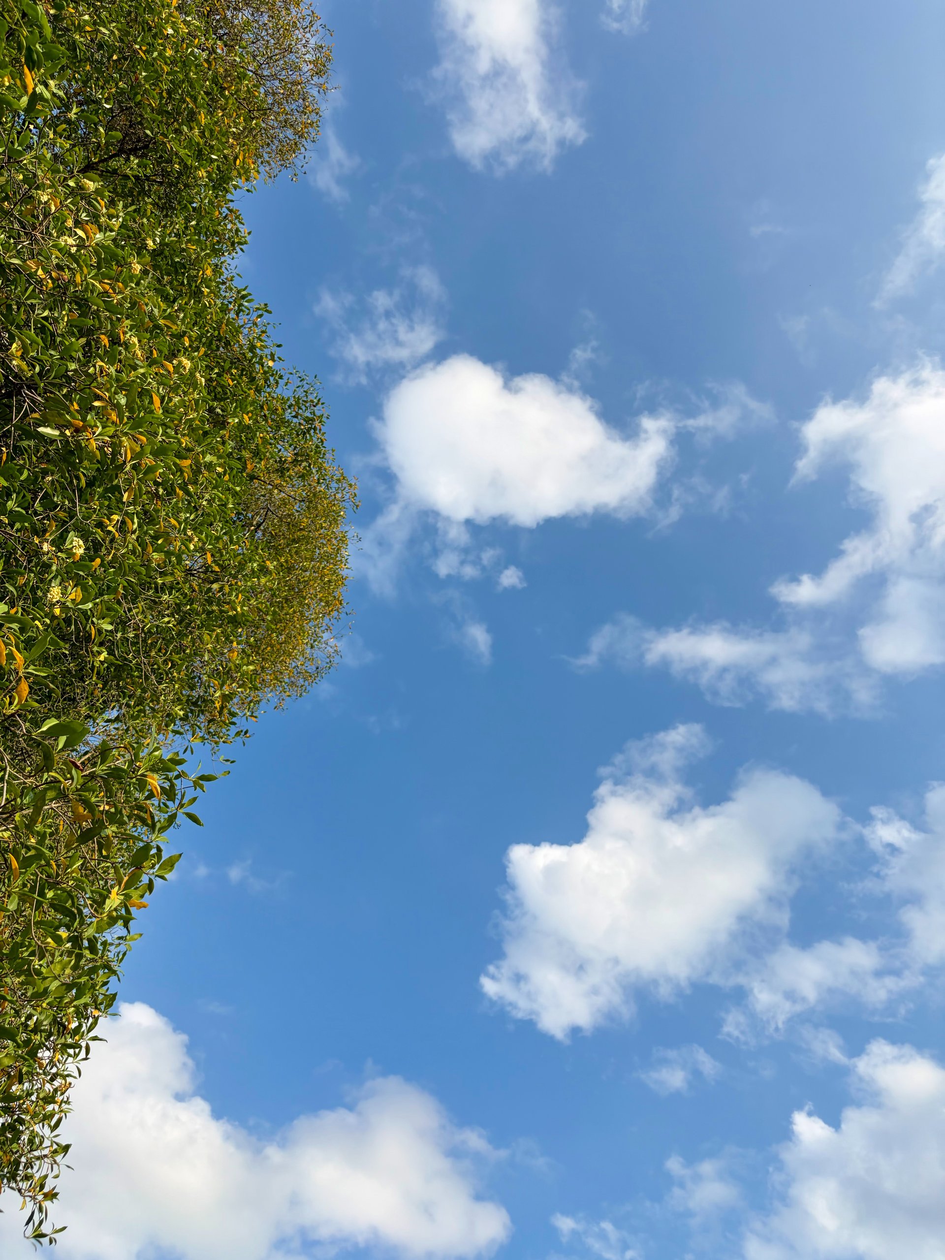 an abstract photo of a curved building with a blue sky in the background