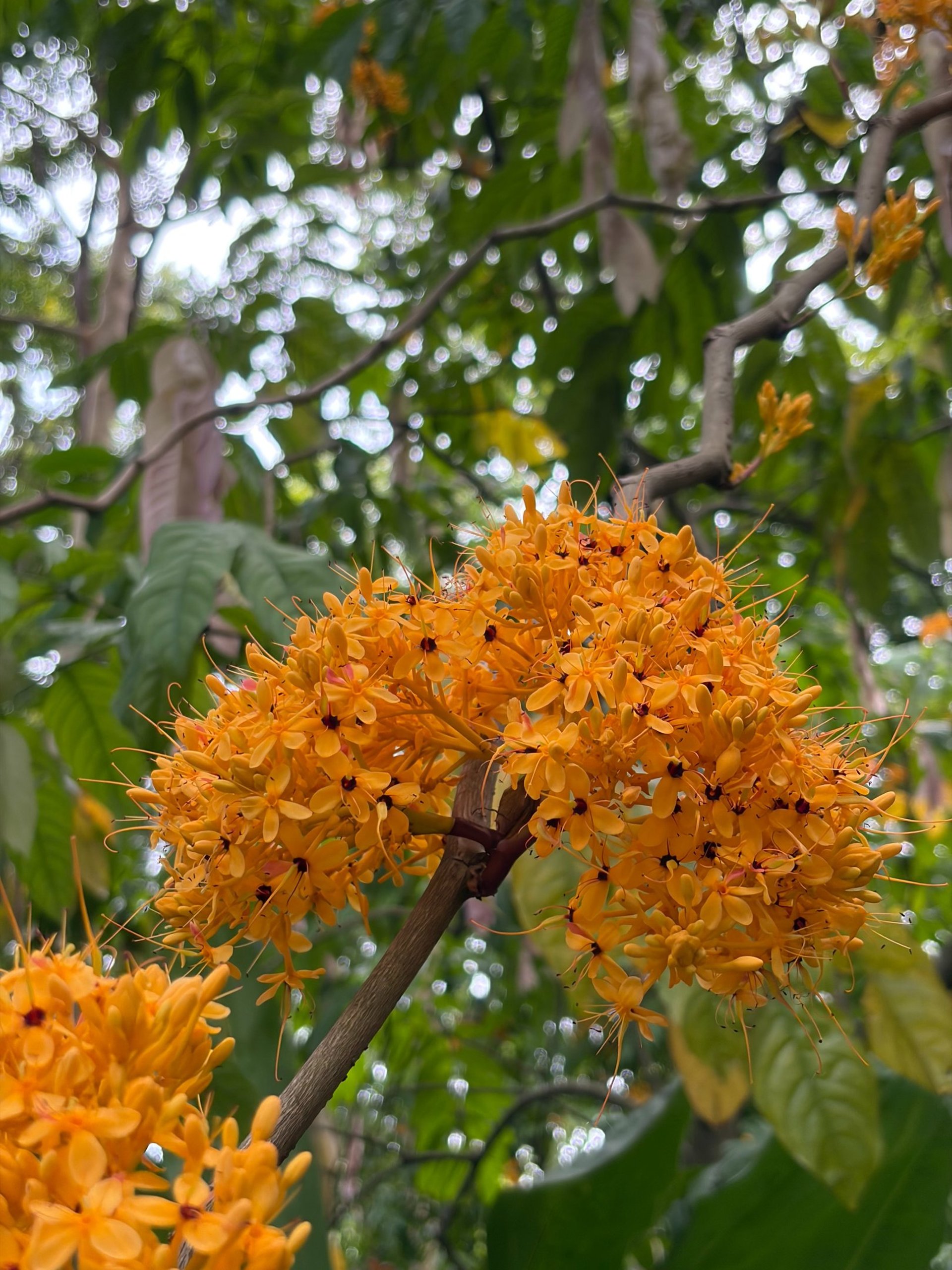 an abstract photo of a curved building with a blue sky in the background