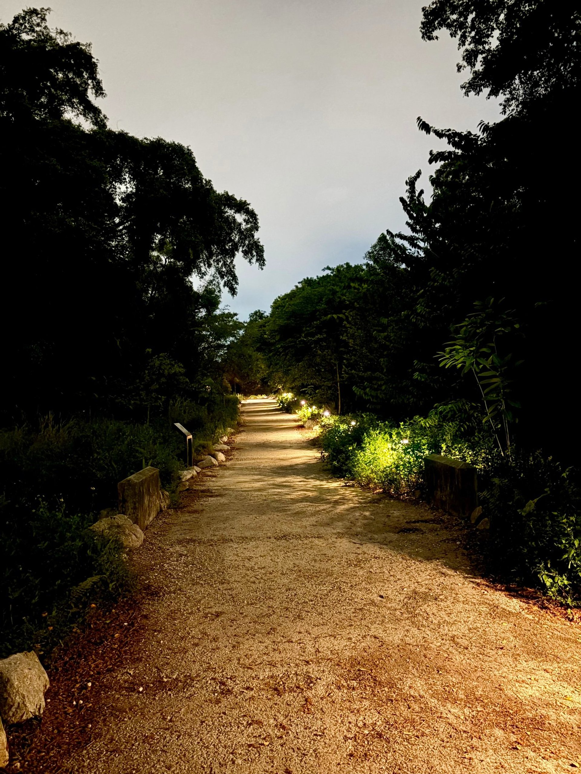 an abstract photo of a curved building with a blue sky in the background