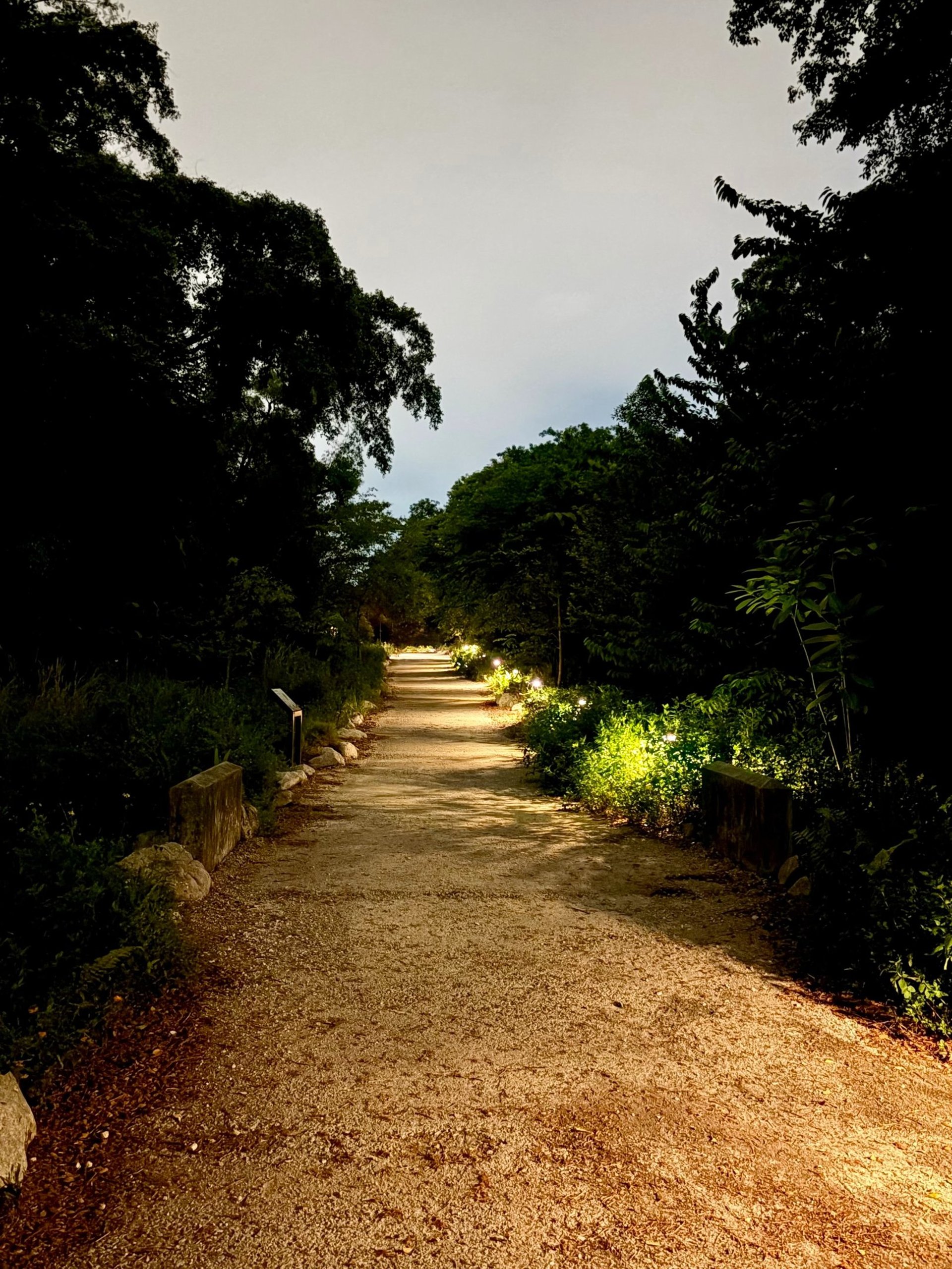 an abstract photo of a curved building with a blue sky in the background