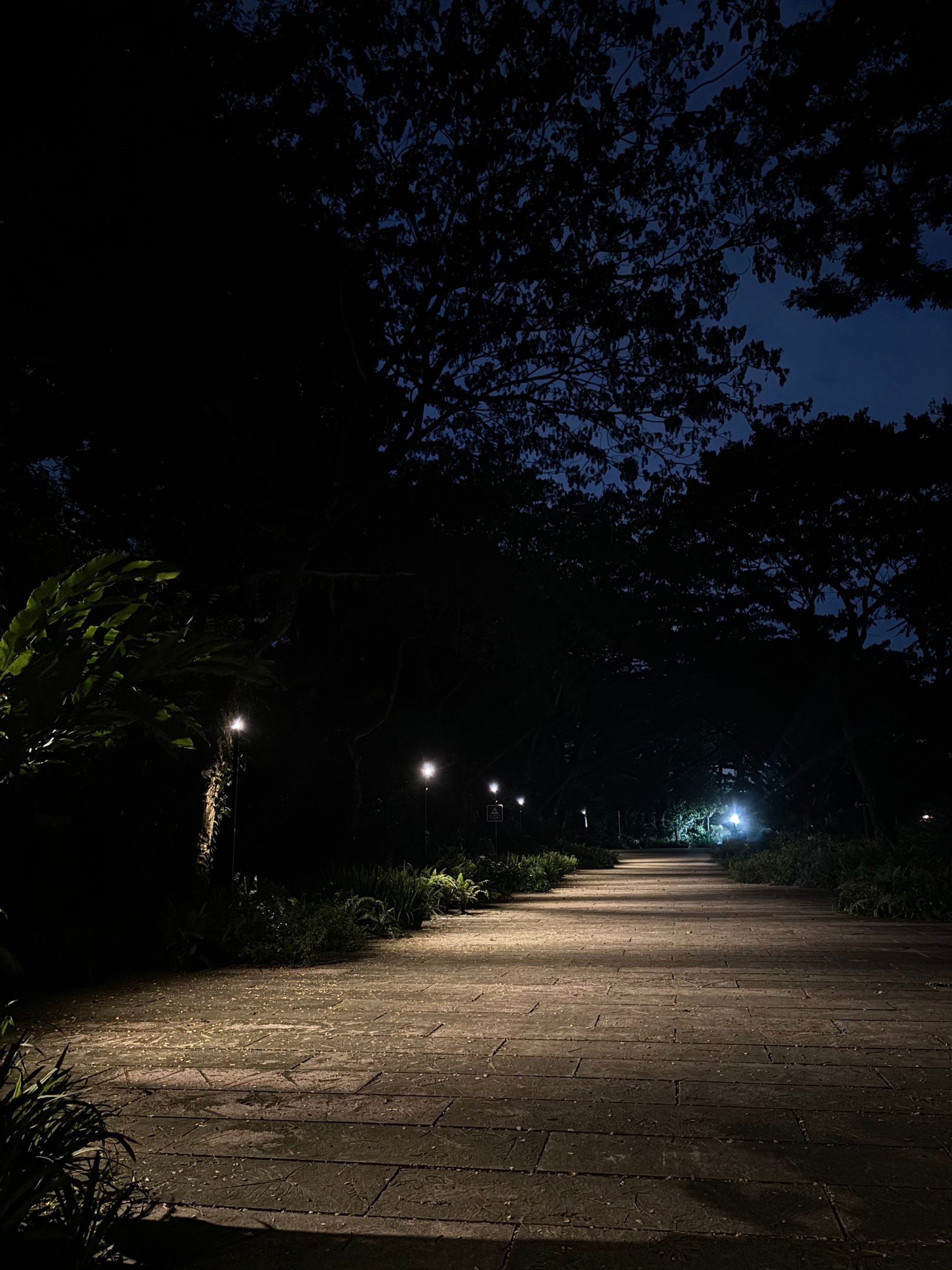 an abstract photo of a curved building with a blue sky in the background
