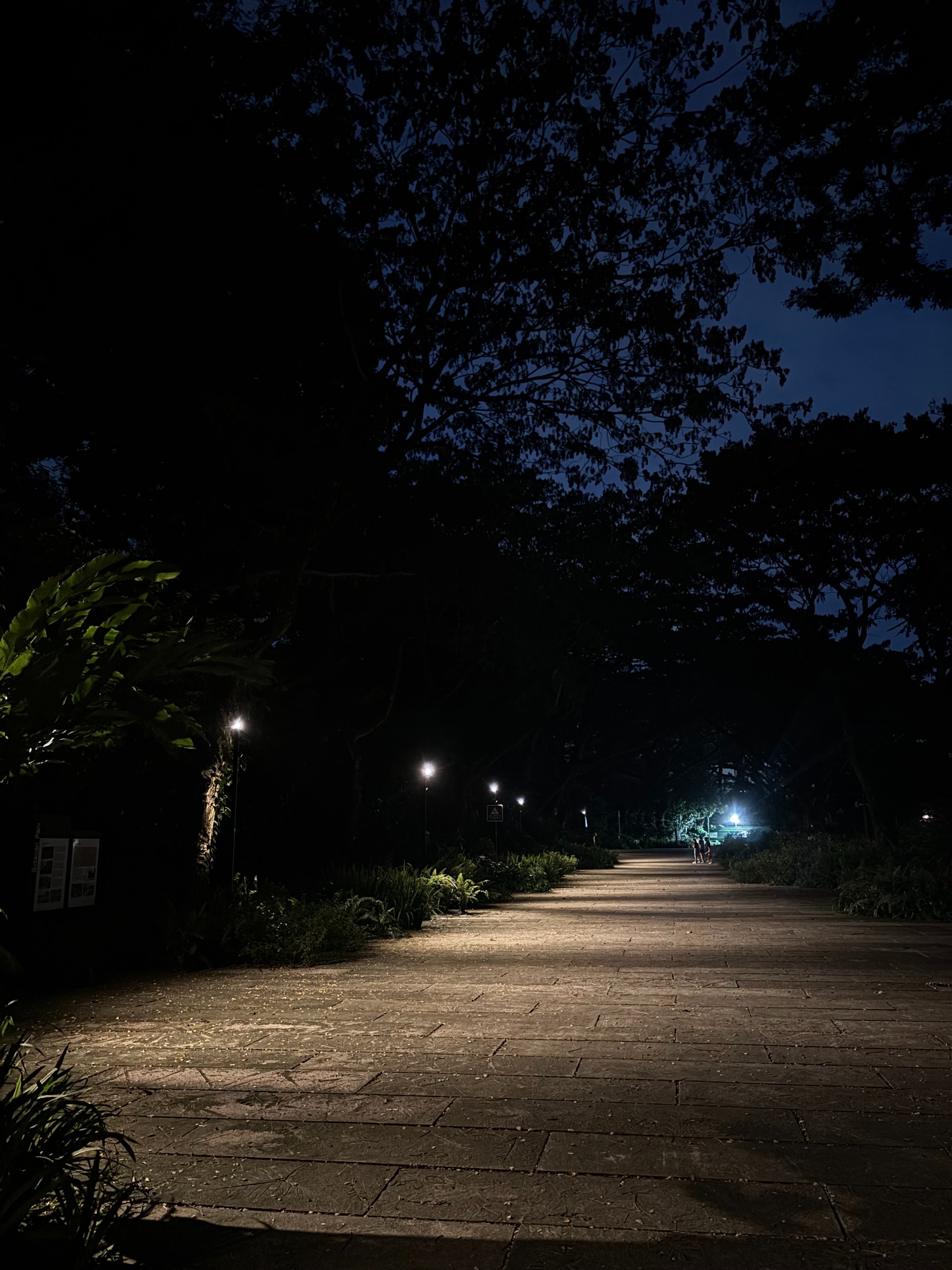 an abstract photo of a curved building with a blue sky in the background