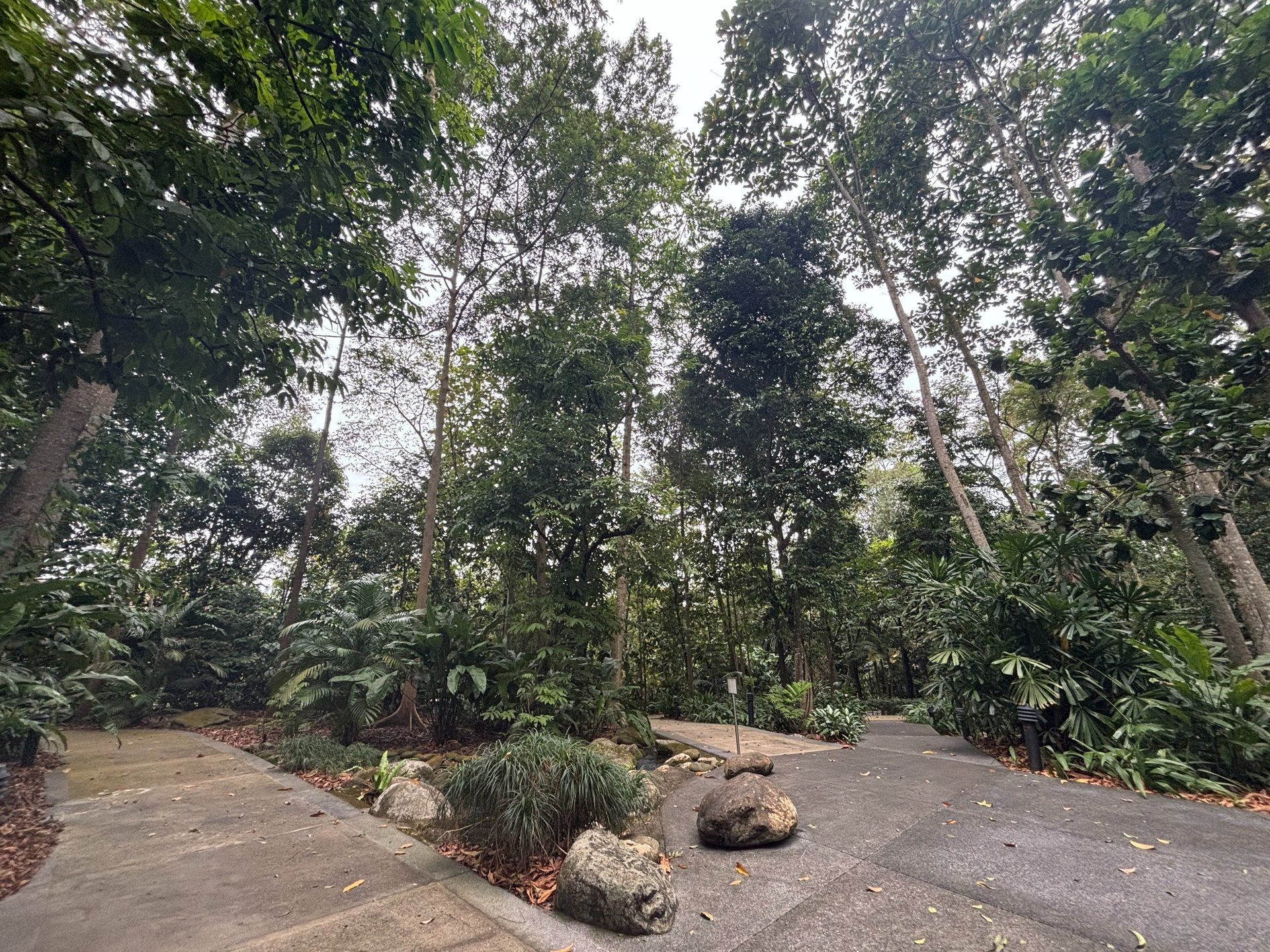 an abstract photo of a curved building with a blue sky in the background
